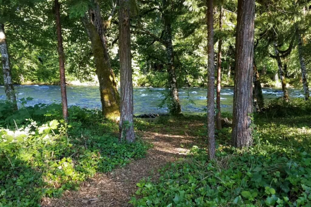 On the River Wooded Bliss Cabin near Loloma view 4