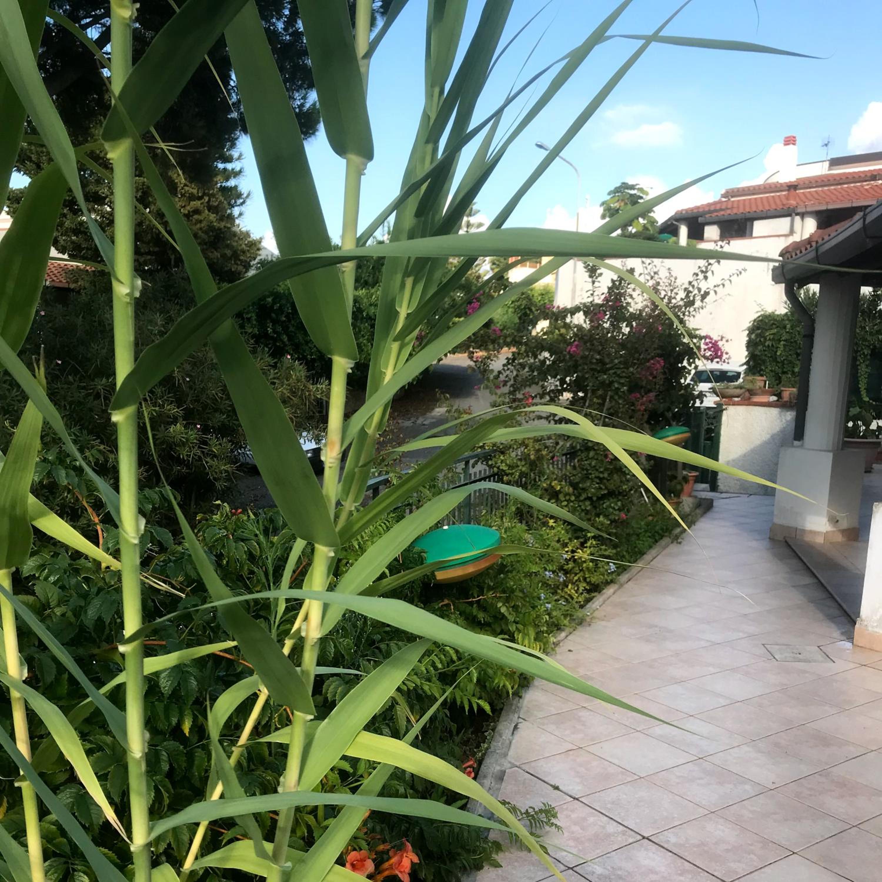 Villetta Romeo Casavacanze view 5