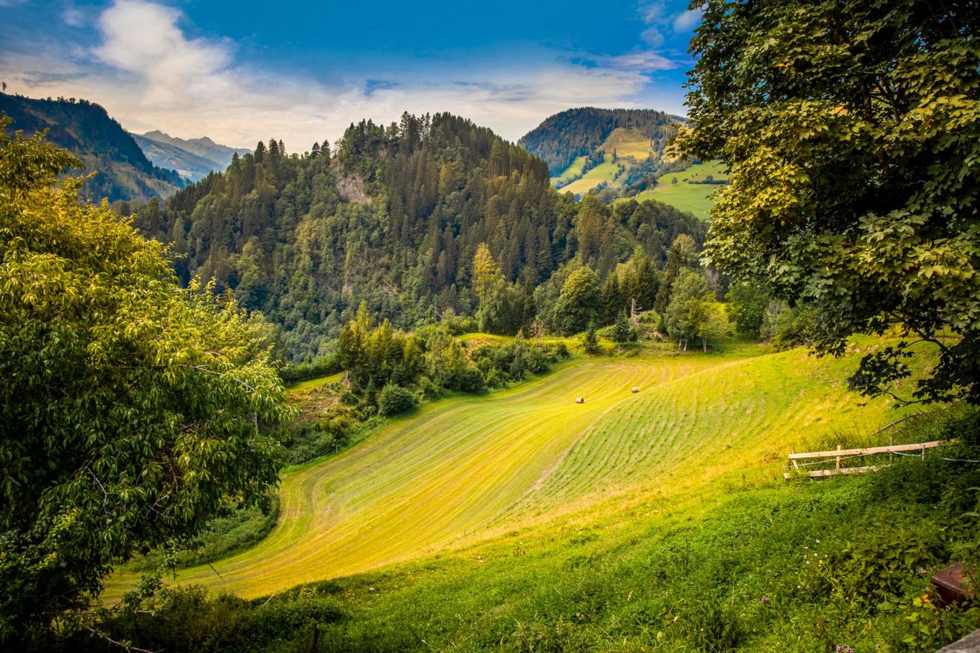 Gasthof Pesbichl