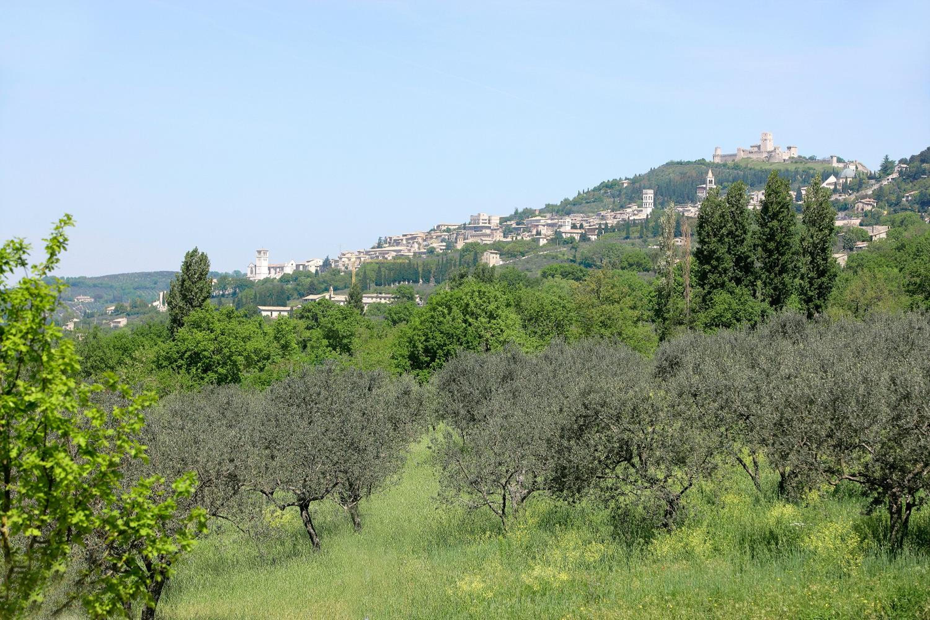Country House Poggio Fiorito