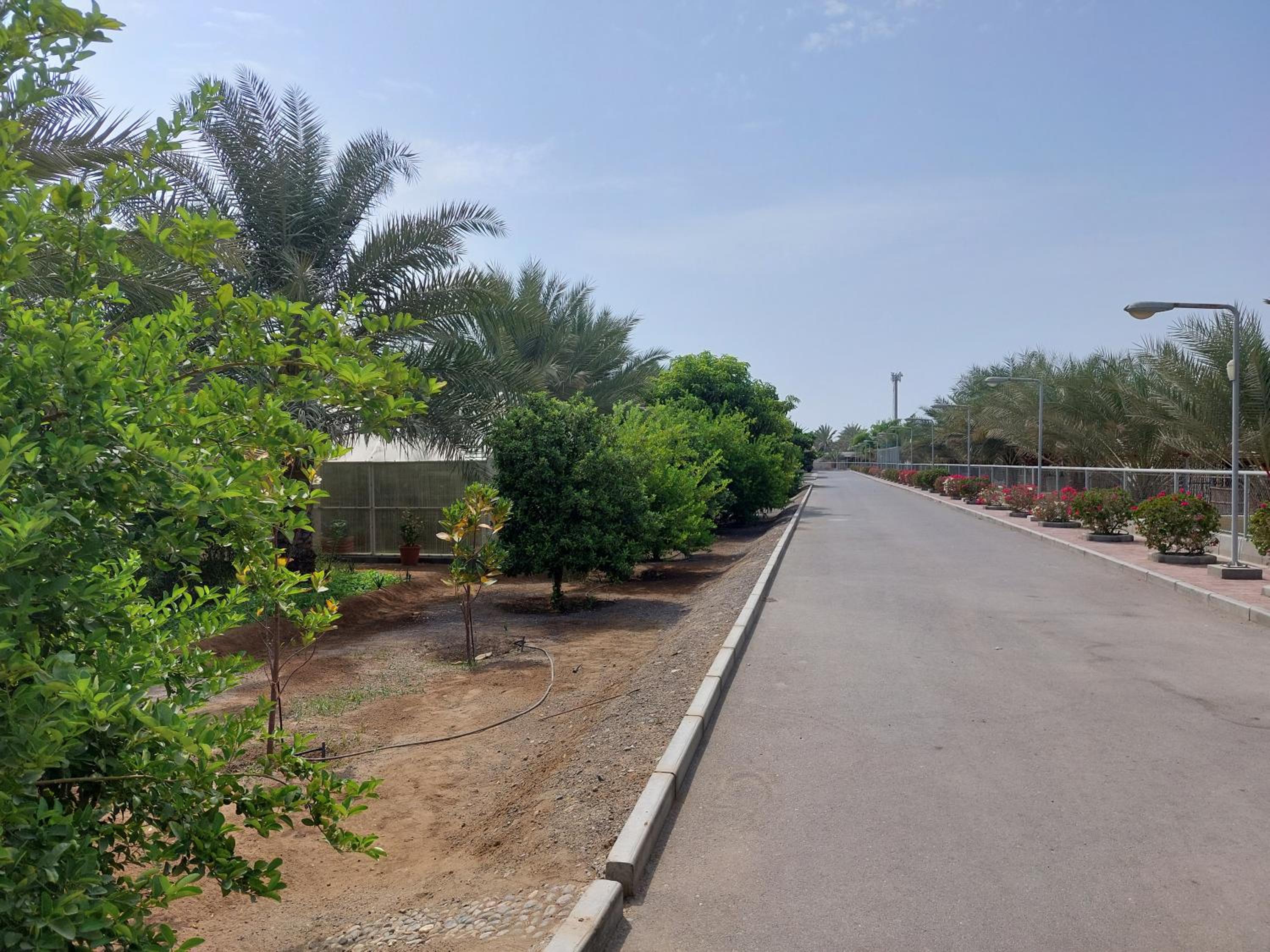Asahalah Farm Pool Villas