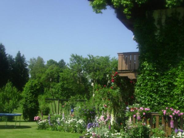 Photo 51