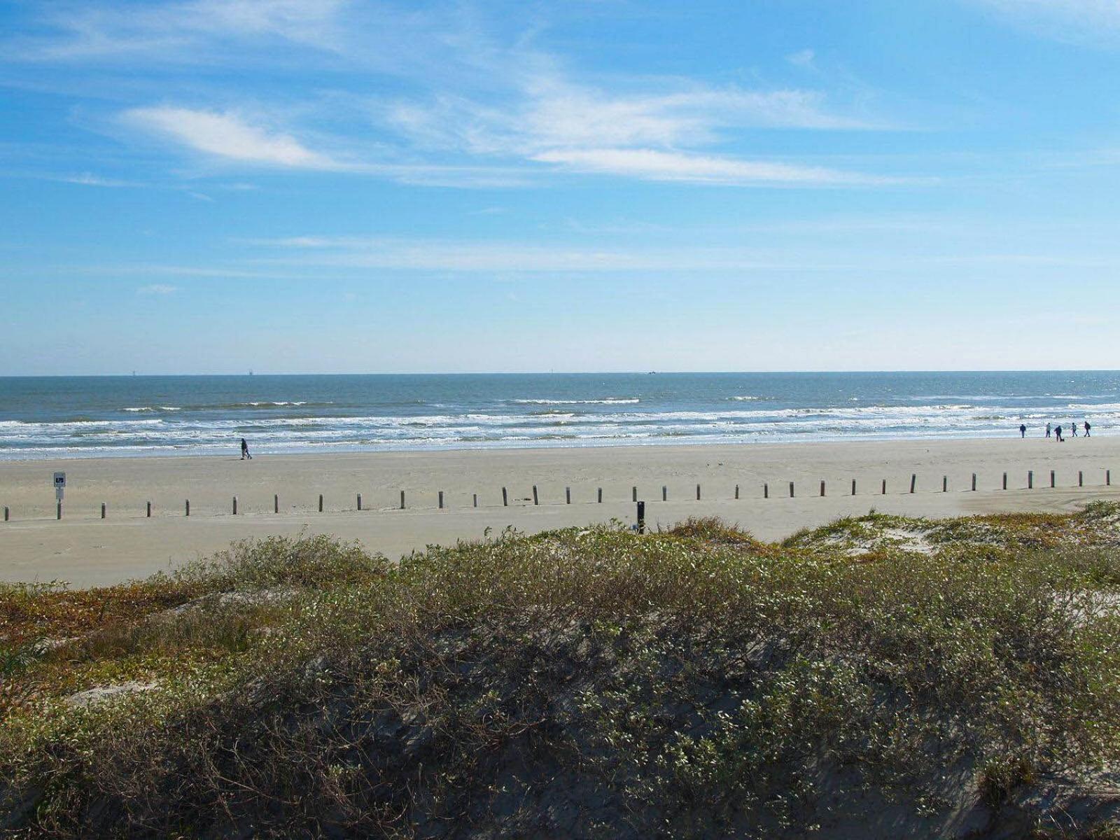 Coastal Nest BH207 view 5