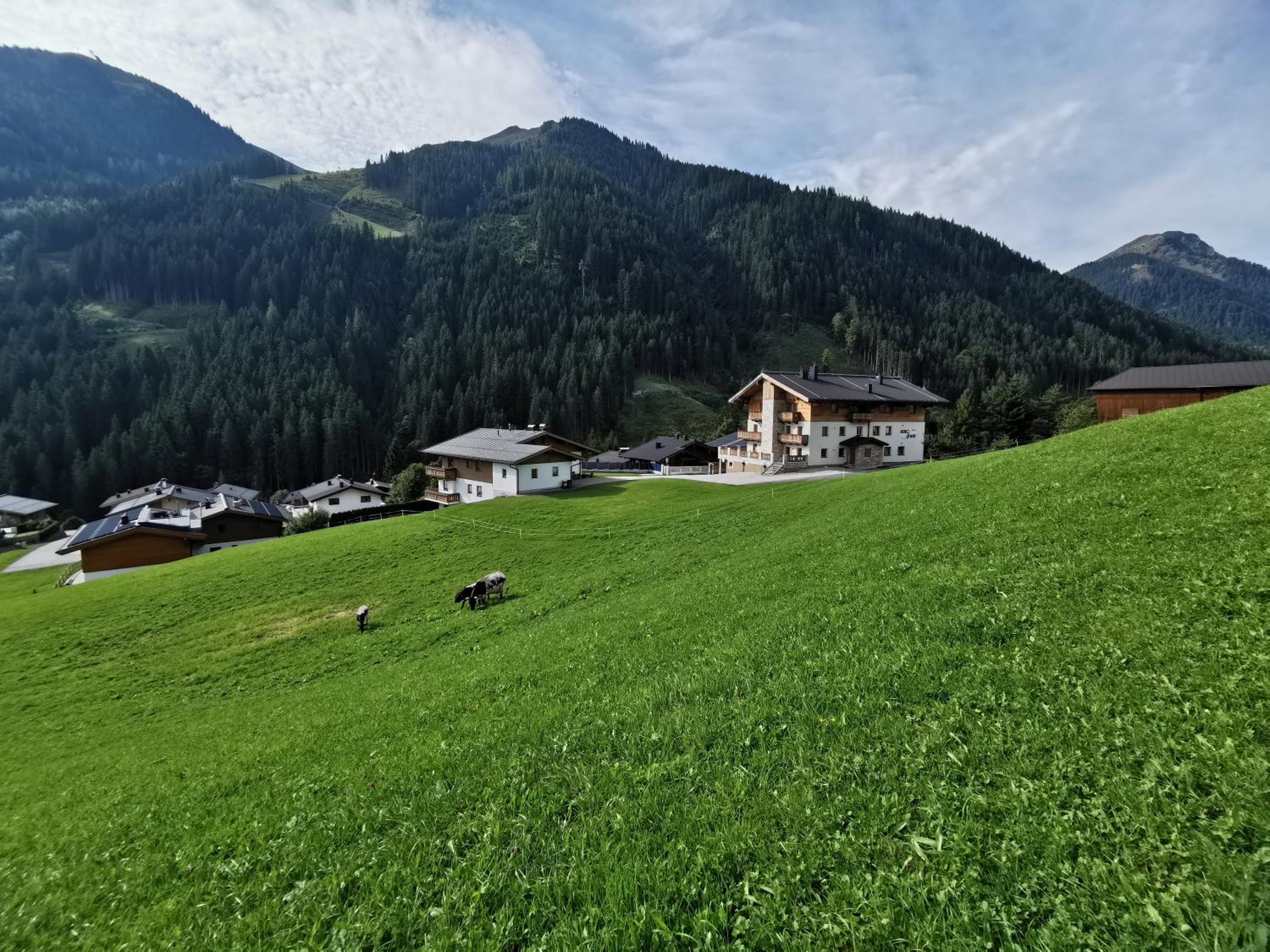 Appartement Berghof