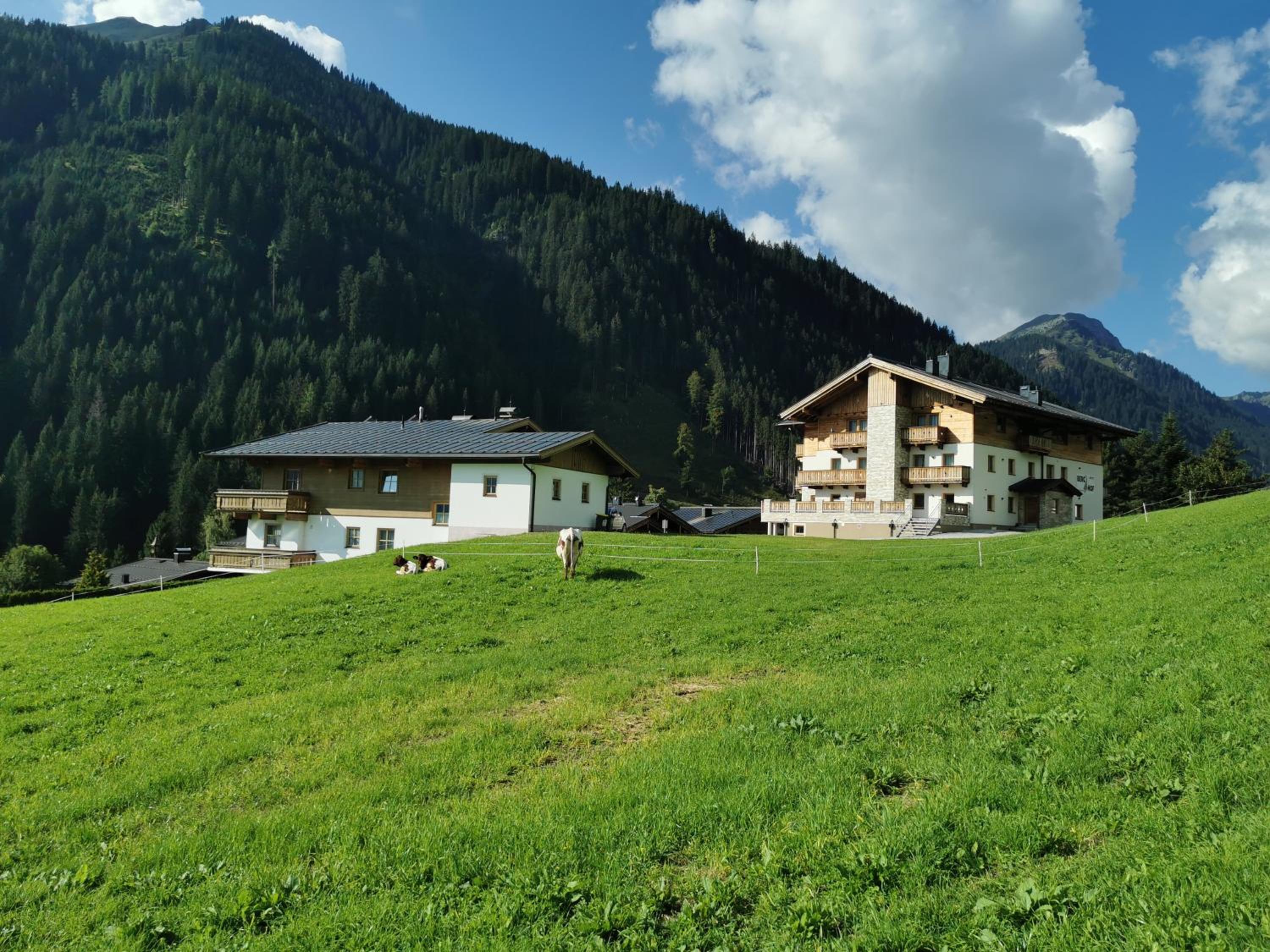 Appartement Berghof