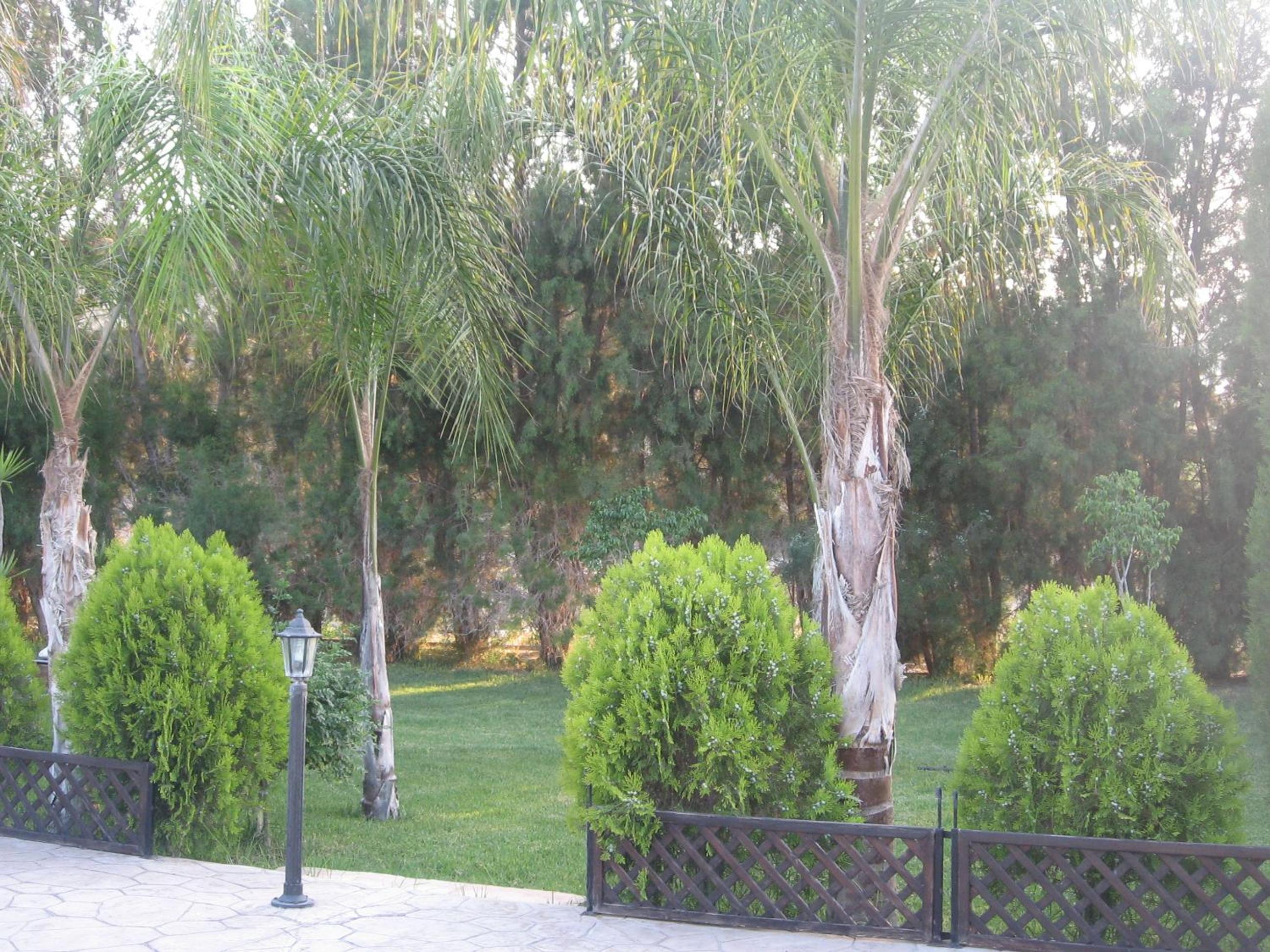 Photo 45