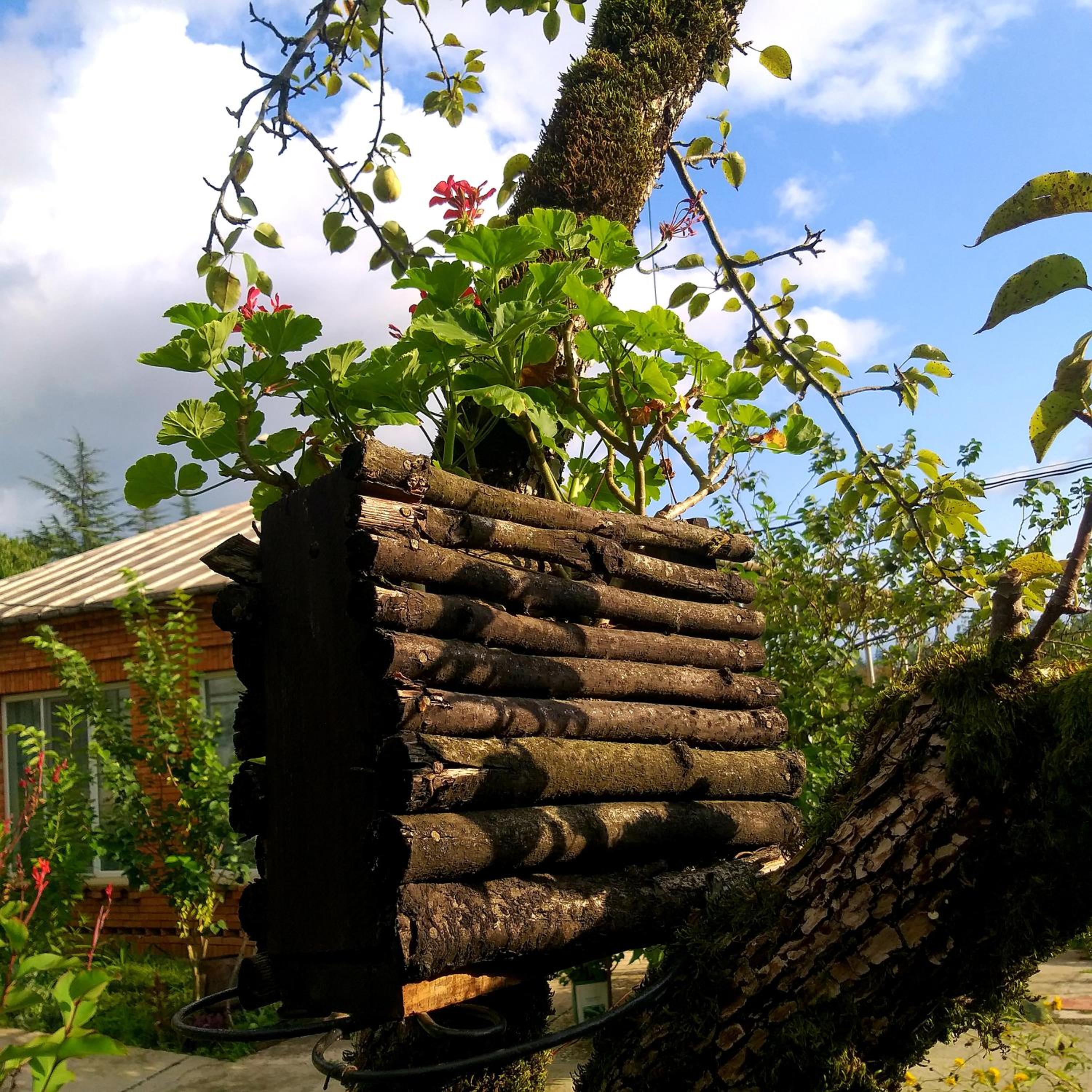 Magdan house, photo 36