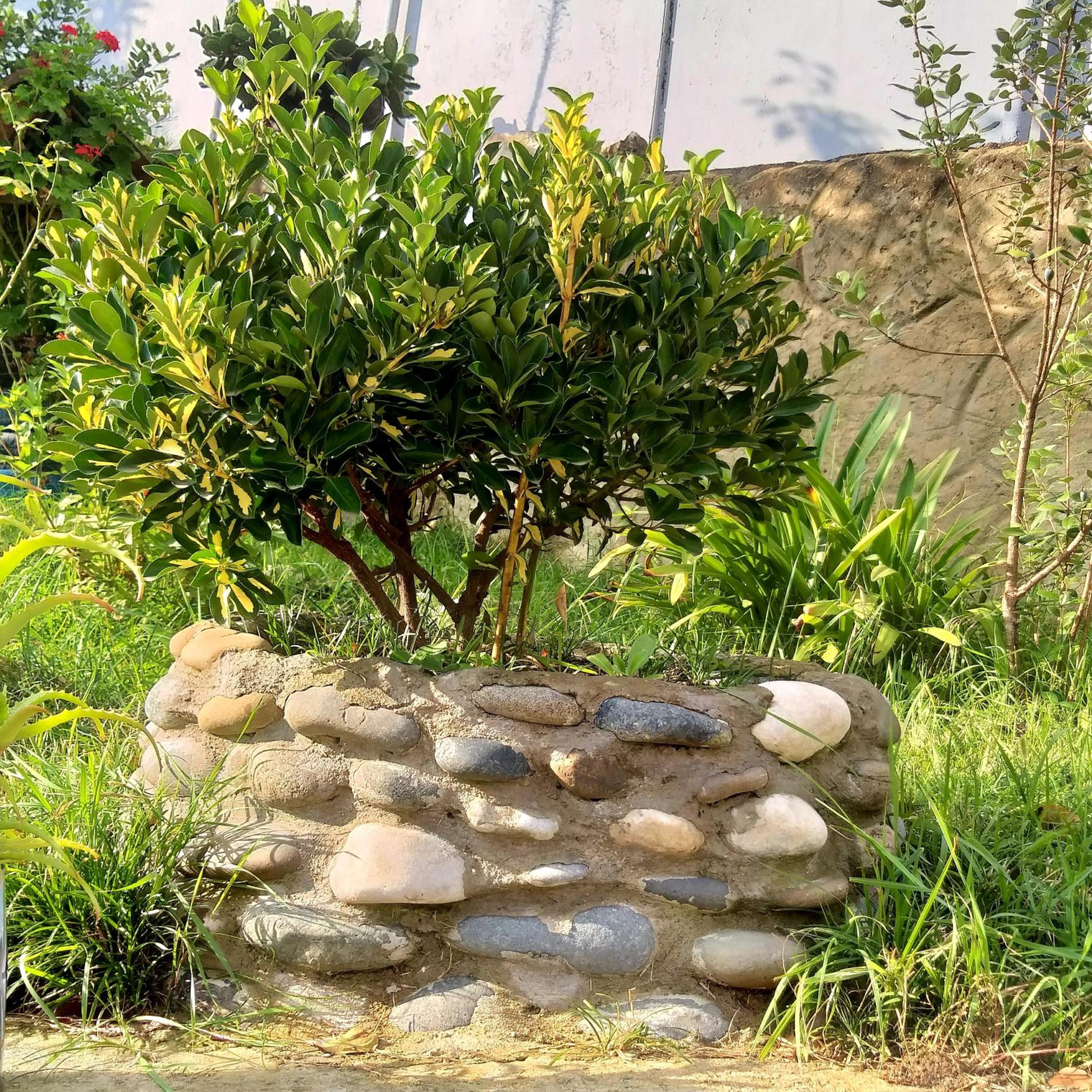 Magdan house, photo 72