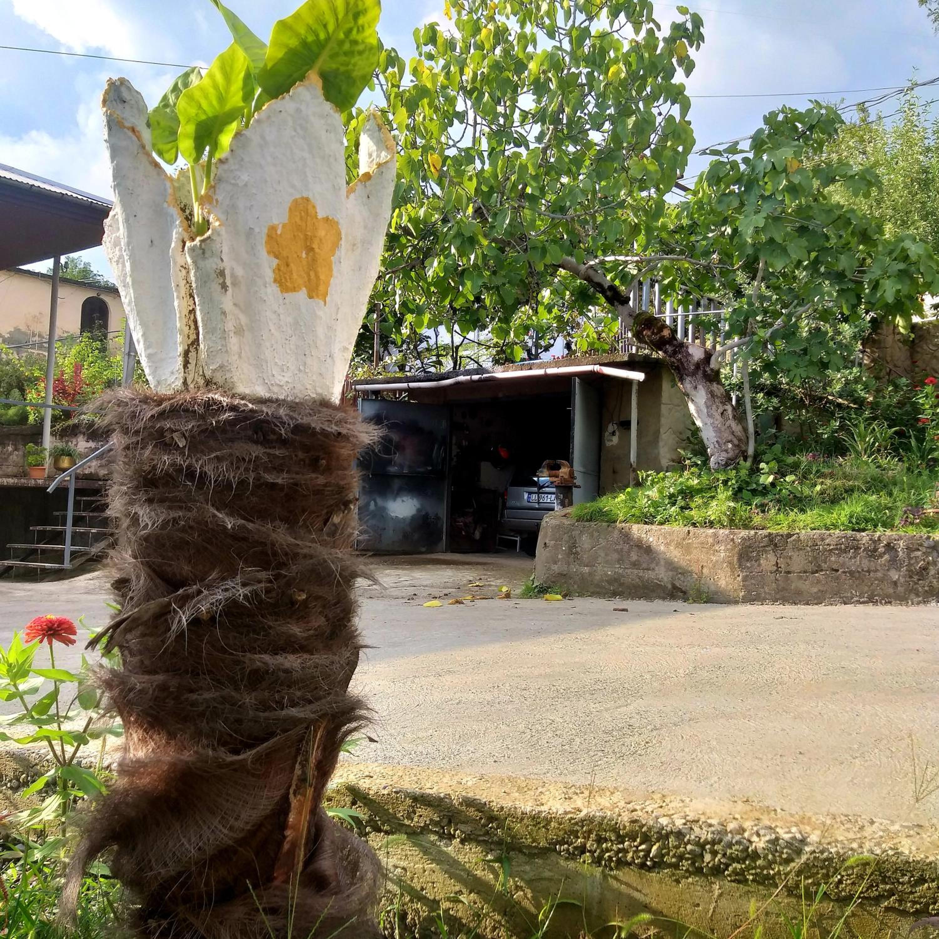 Magdan house, photo 66