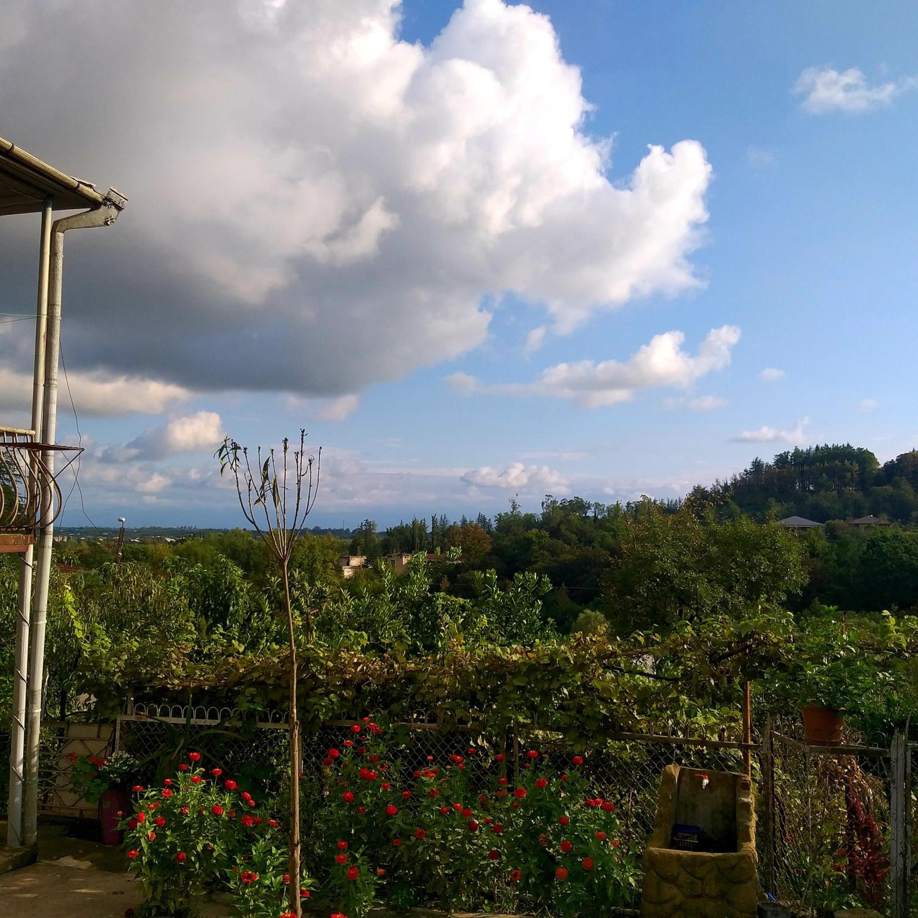 Magdan house