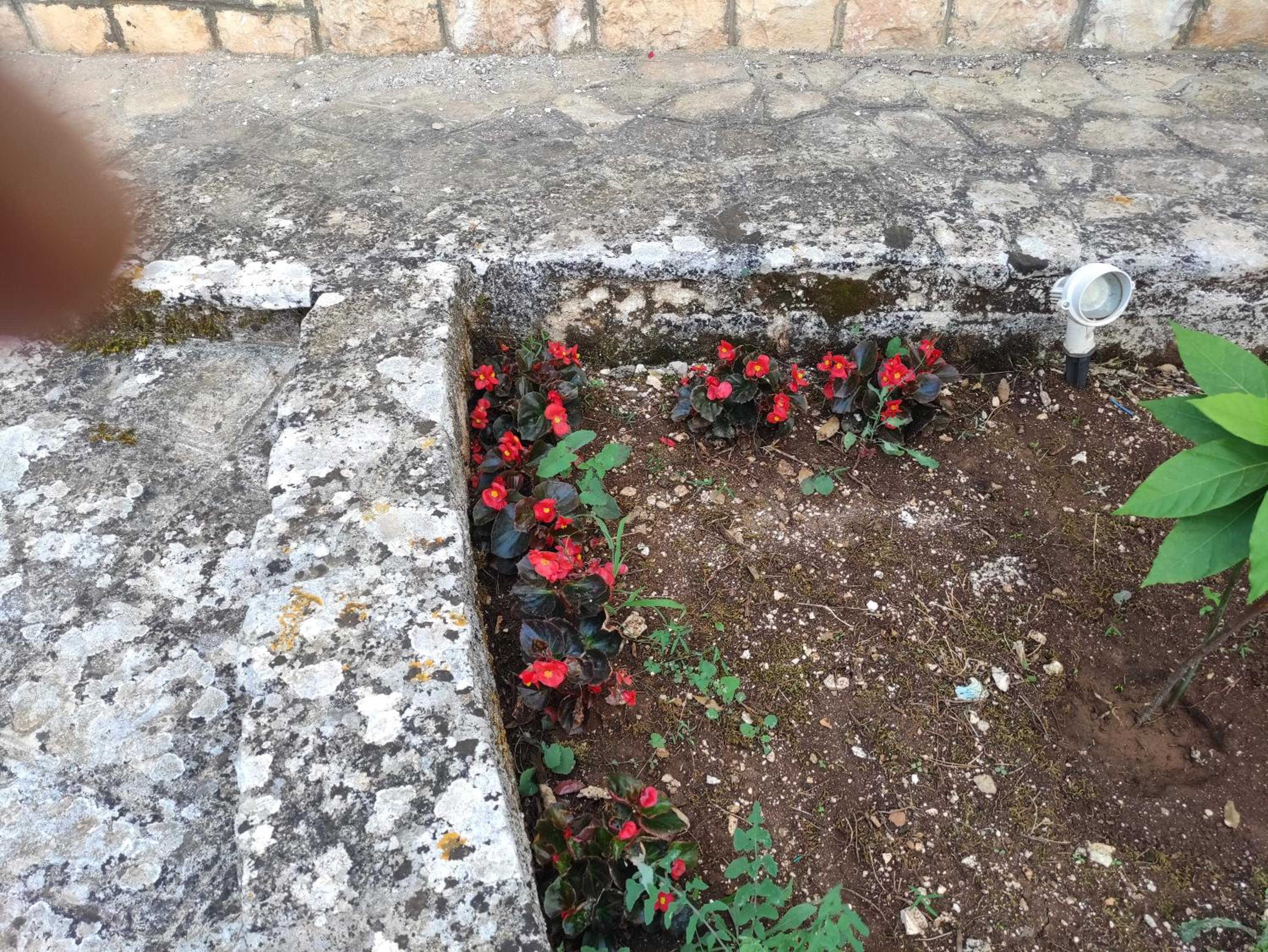 Photo 42