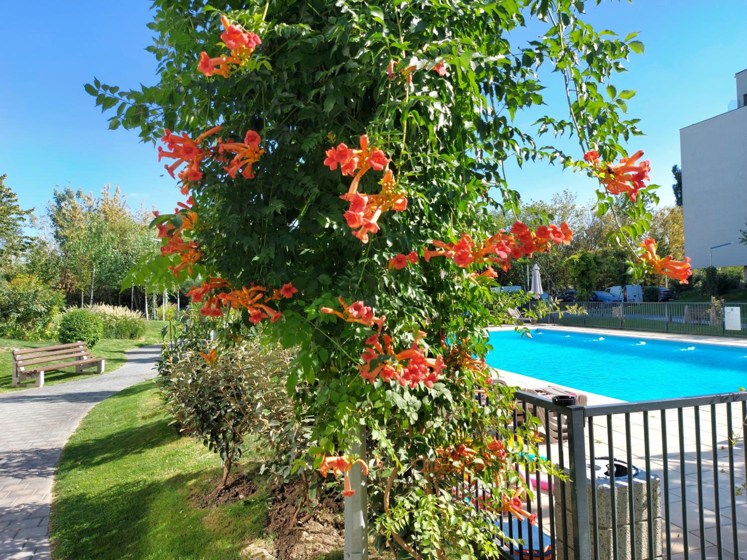 Holiday Resort Apartment view 3