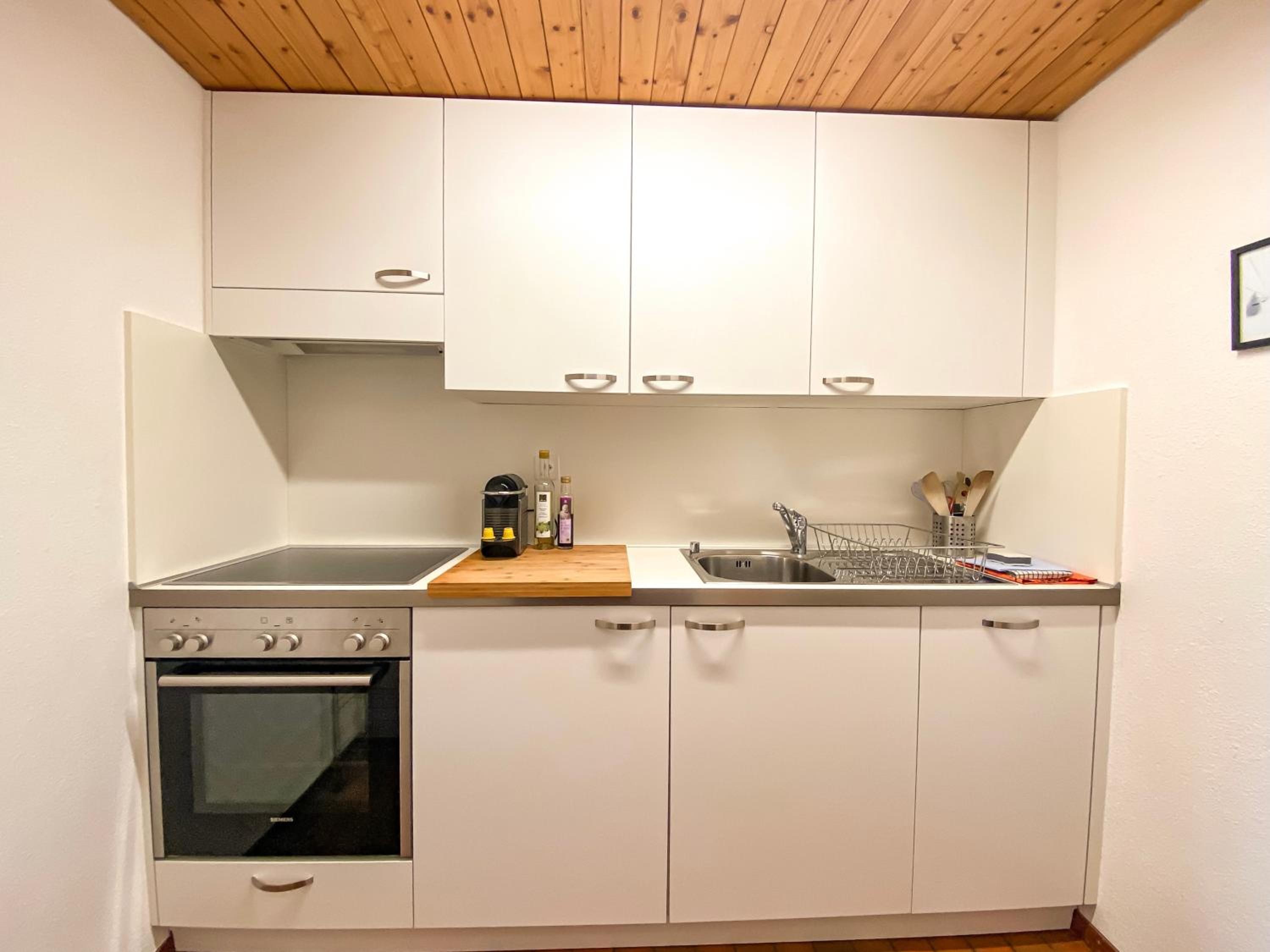 Studio Apartment Alpine Lodge (36m2) - Bettmeralp - Ski in/out - South facing, overlooking the Alps view 3