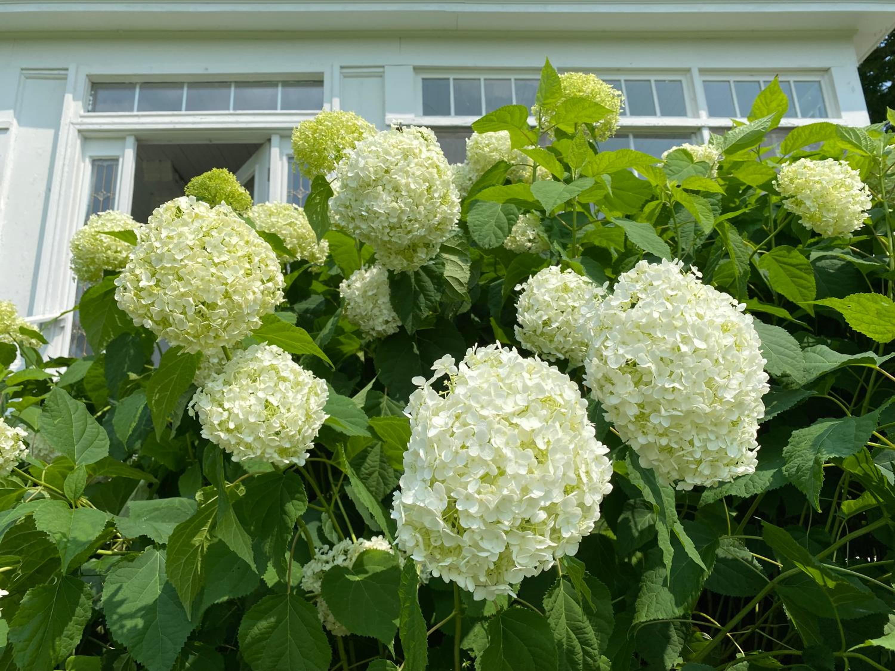 Bloom Farm Guesthouse view 3