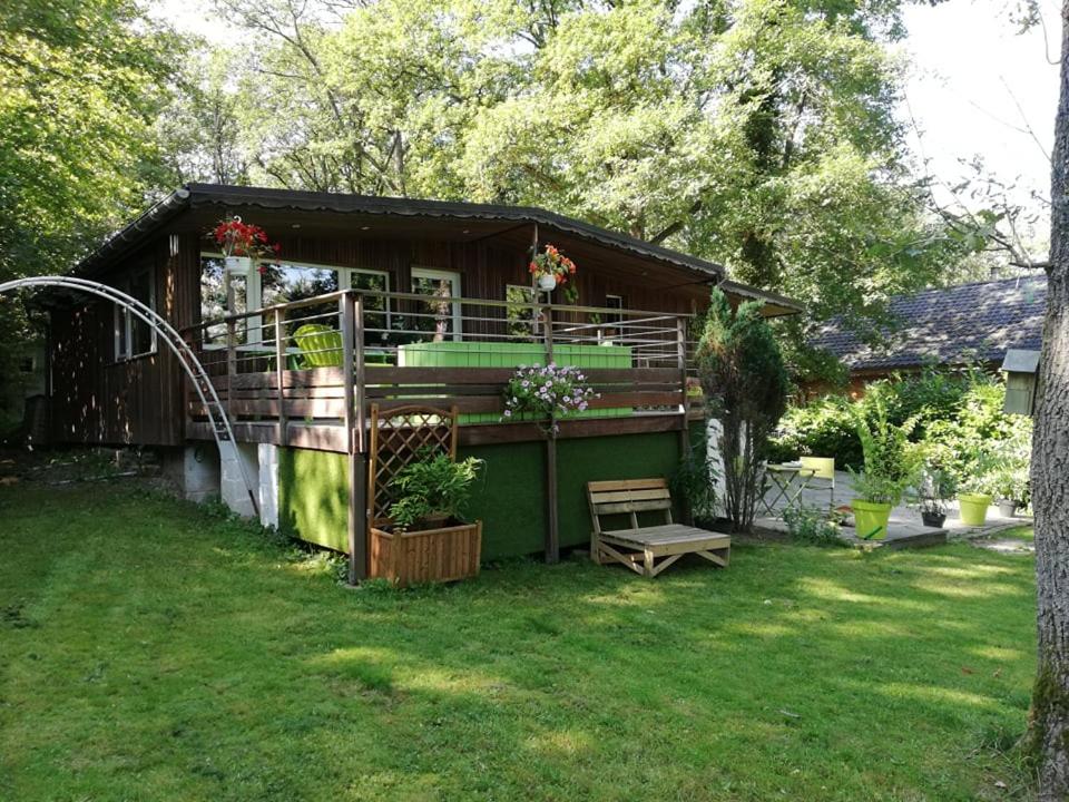Photo 7