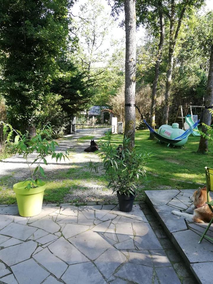 Photo 14
