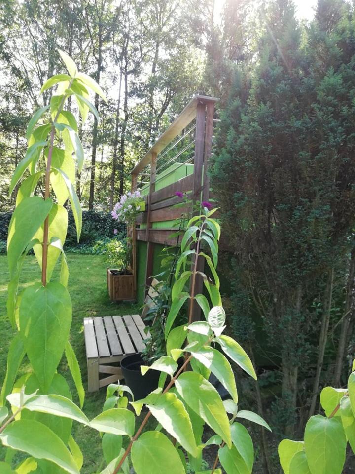 Photo 15
