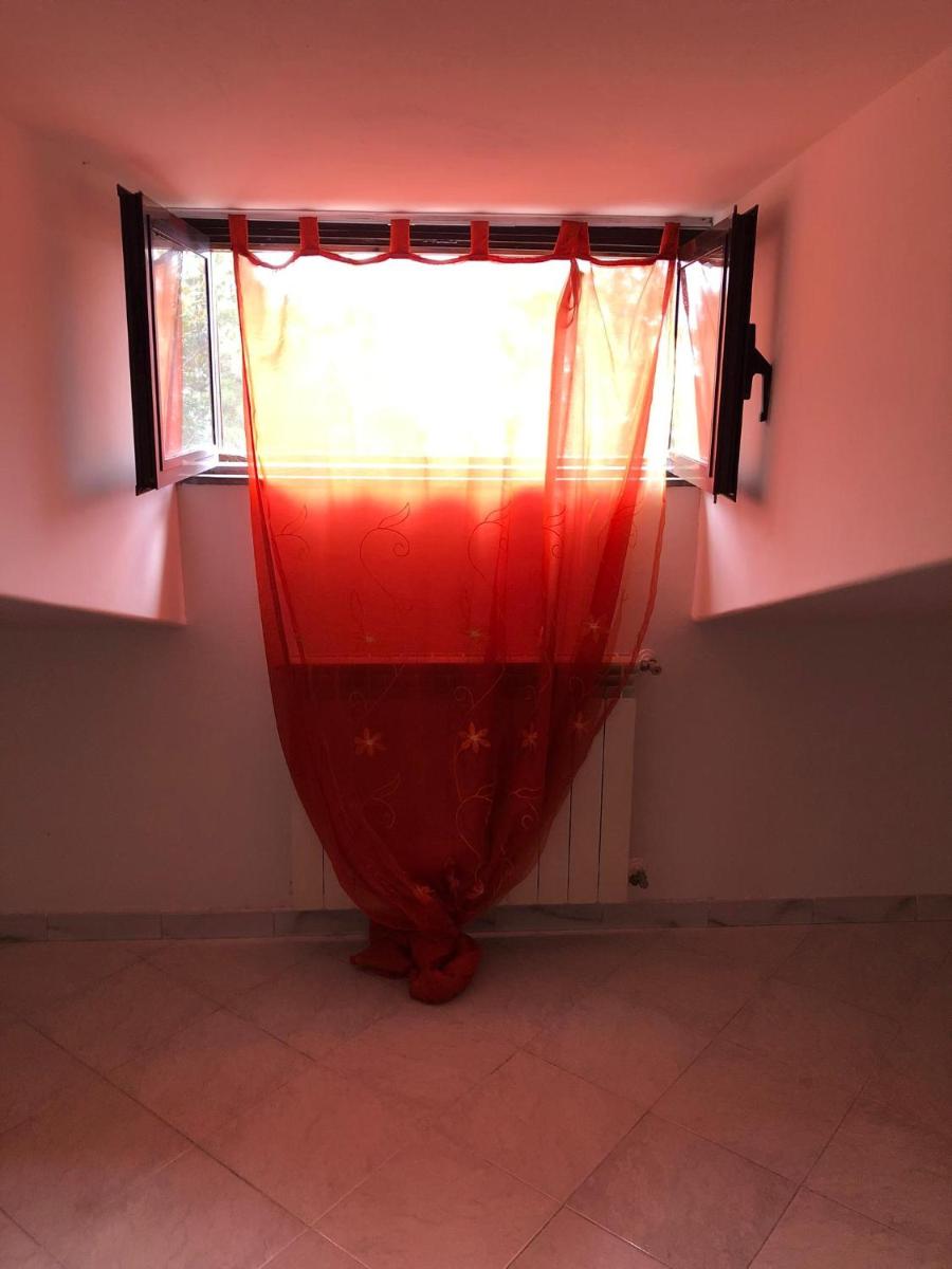 Uccello del Paradiso photo 3