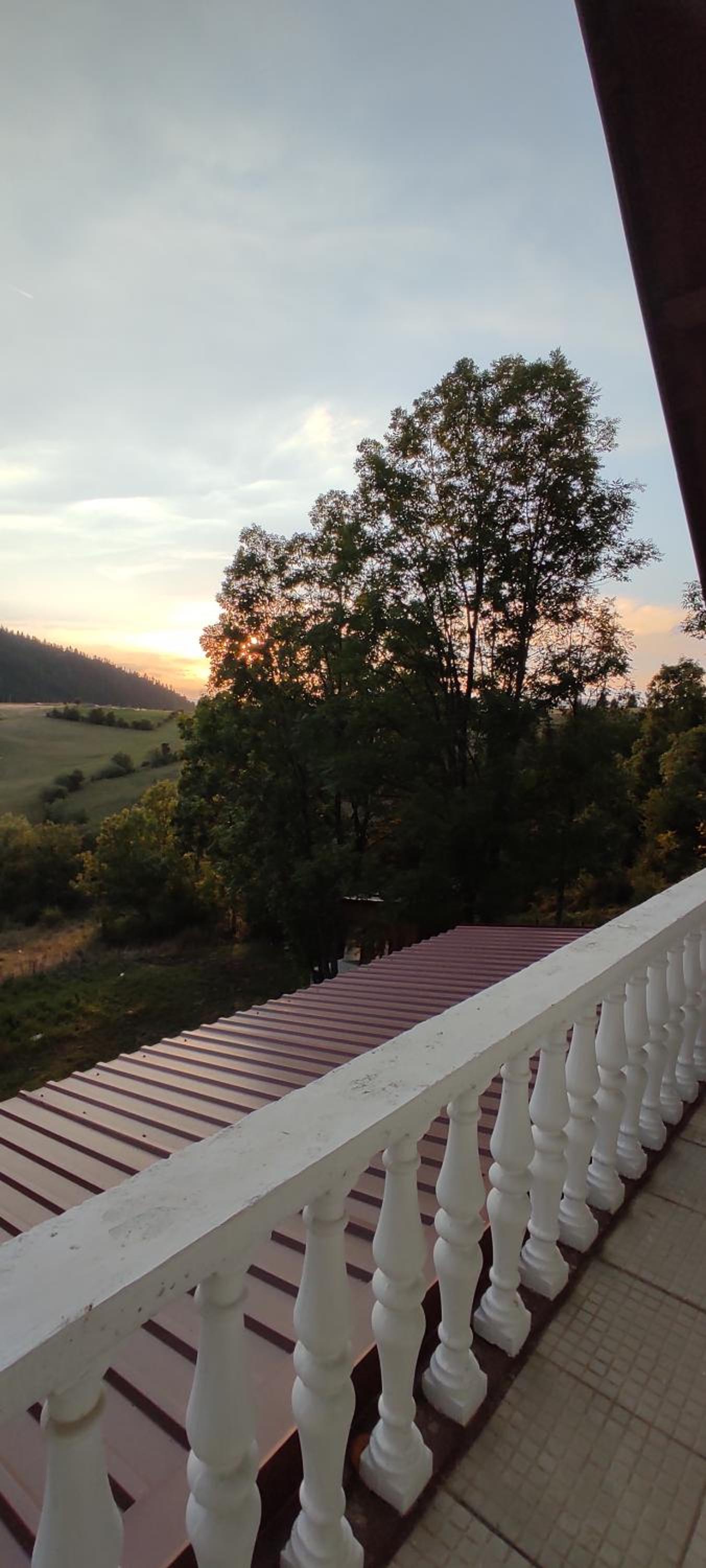 Vlasic holiday home