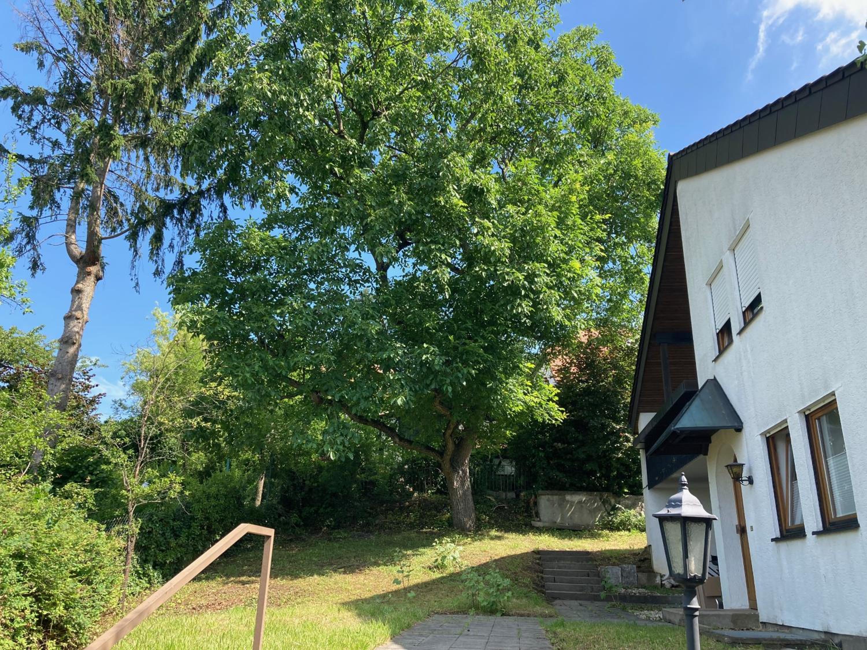 Ferienwohnung Panorama, photo 32