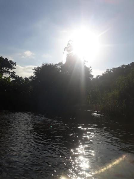 Chácara São Vicente em Pedro de Toledo-SP