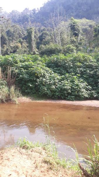 Chácara São Vicente em Pedro de Toledo-SP