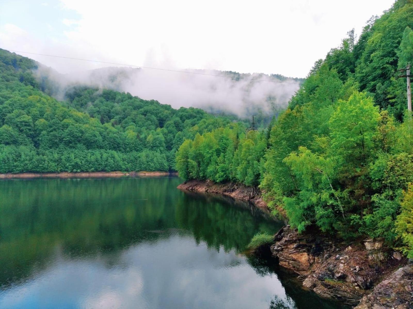Photo 51