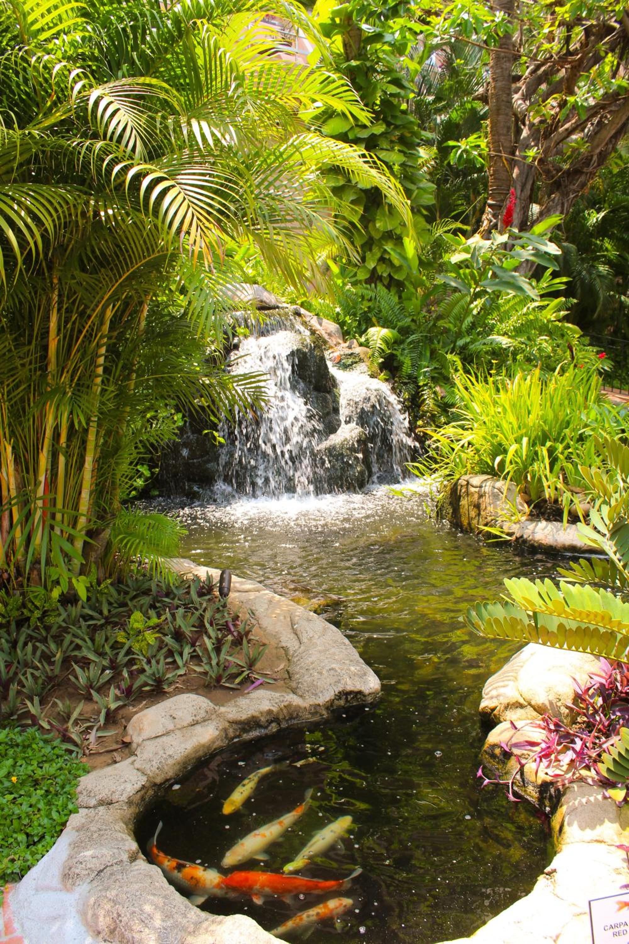 Puerto Vallarta Vacations - Fiesta Americana Puerto Vallarta All Inclusive  Spa - Property Image 181