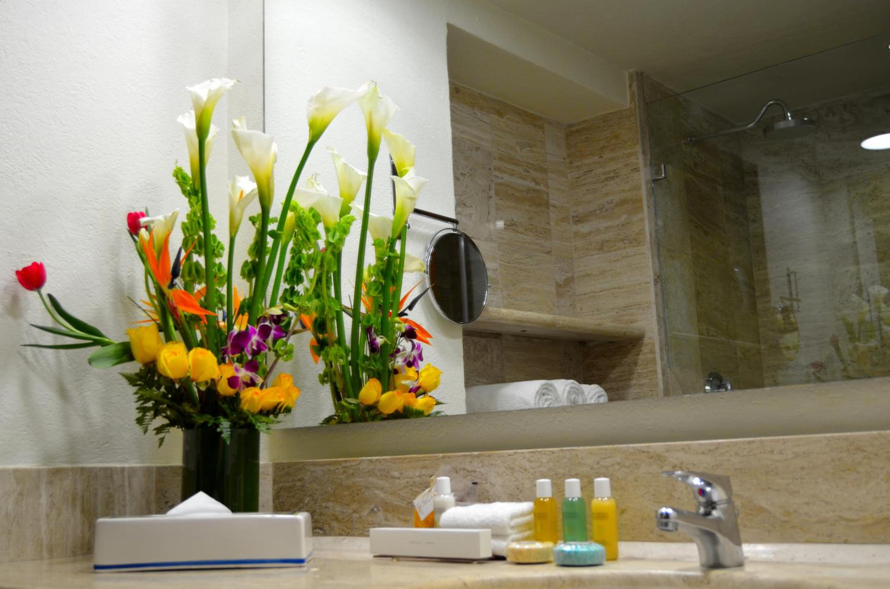 Puerto Vallarta Vacations - Fiesta Americana Puerto Vallarta All Inclusive  Spa - Property Image 50