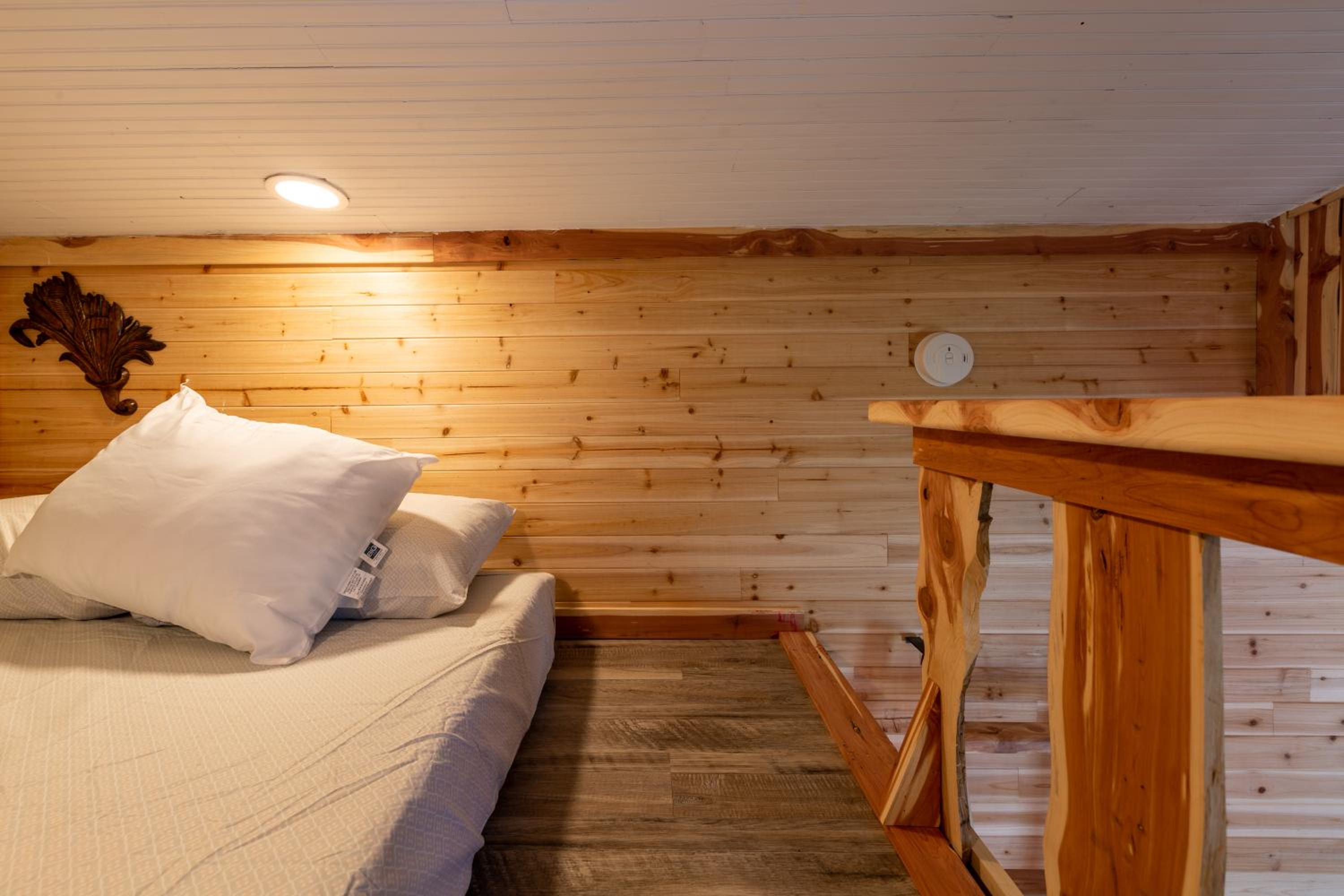 Tiny House Leadville Colorado