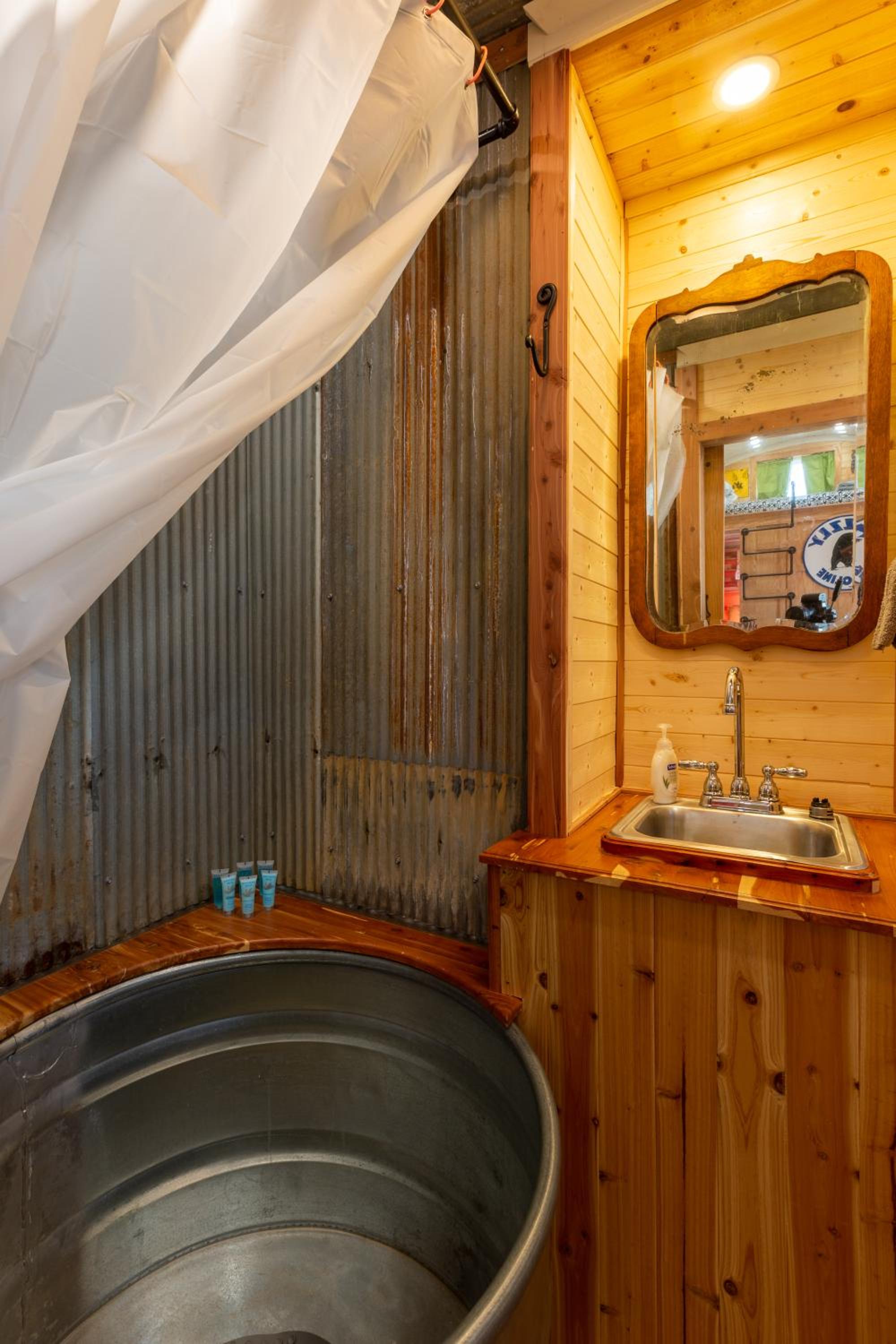Tiny House Leadville Colorado