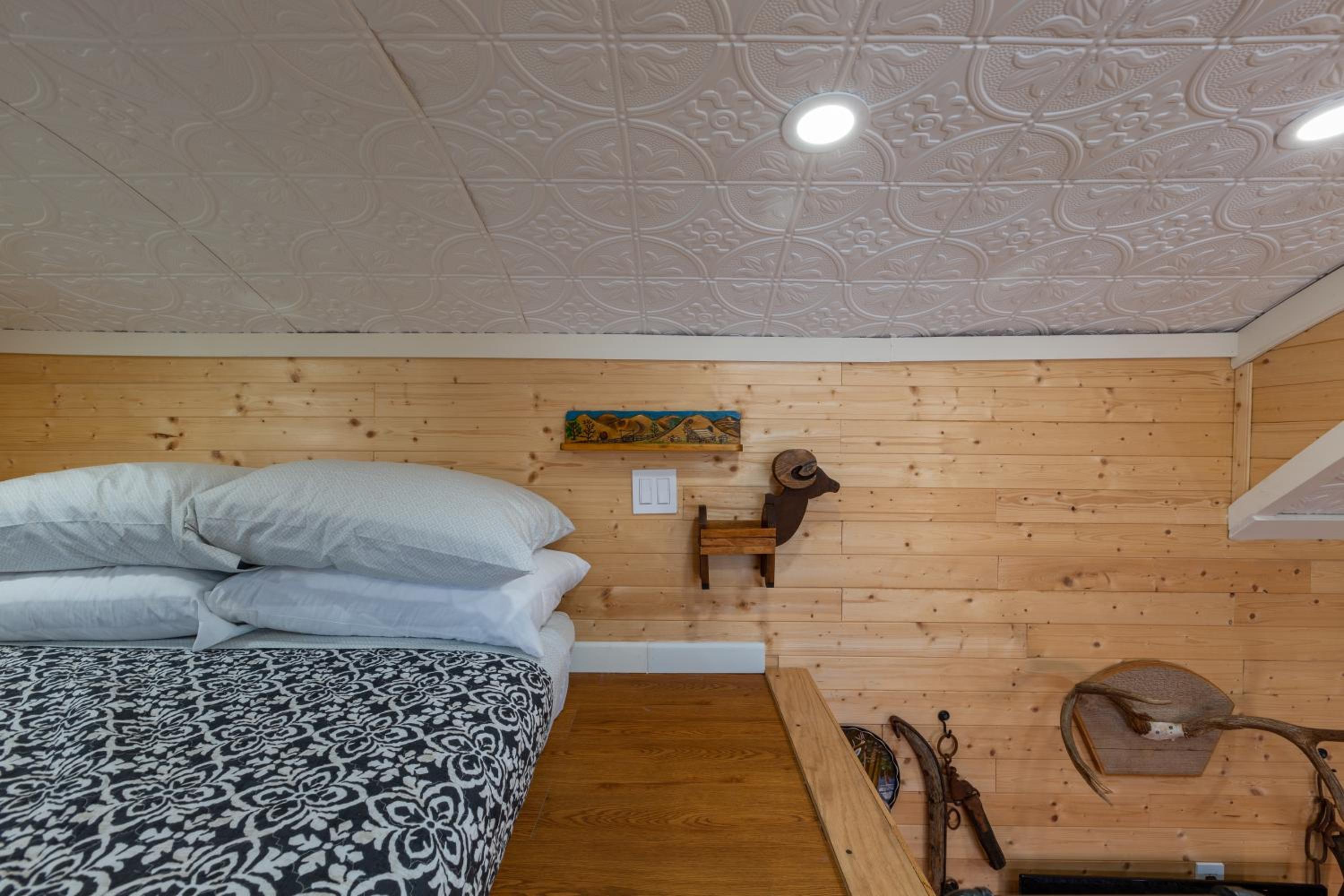Tiny House Leadville Colorado