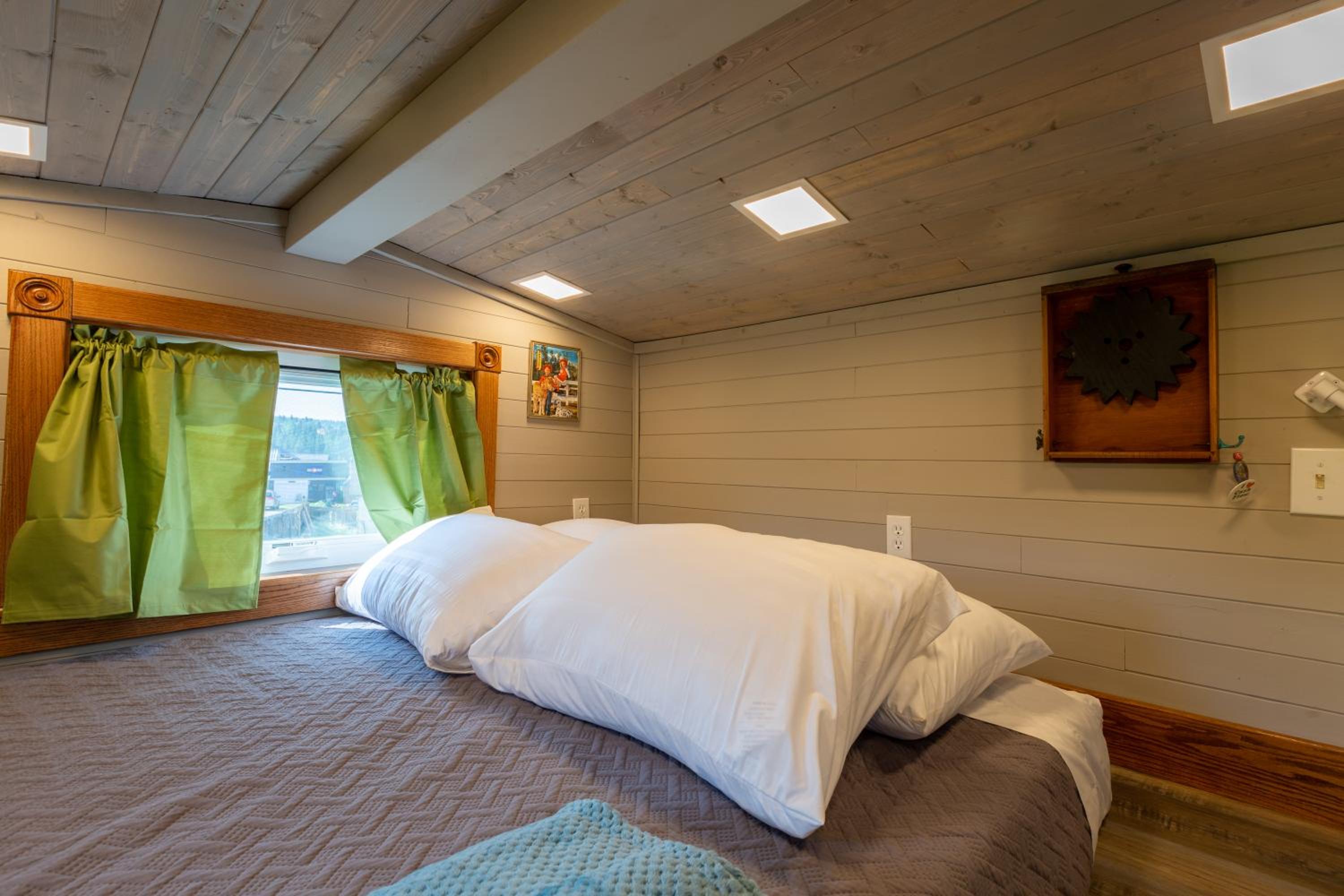 Tiny House Leadville Colorado