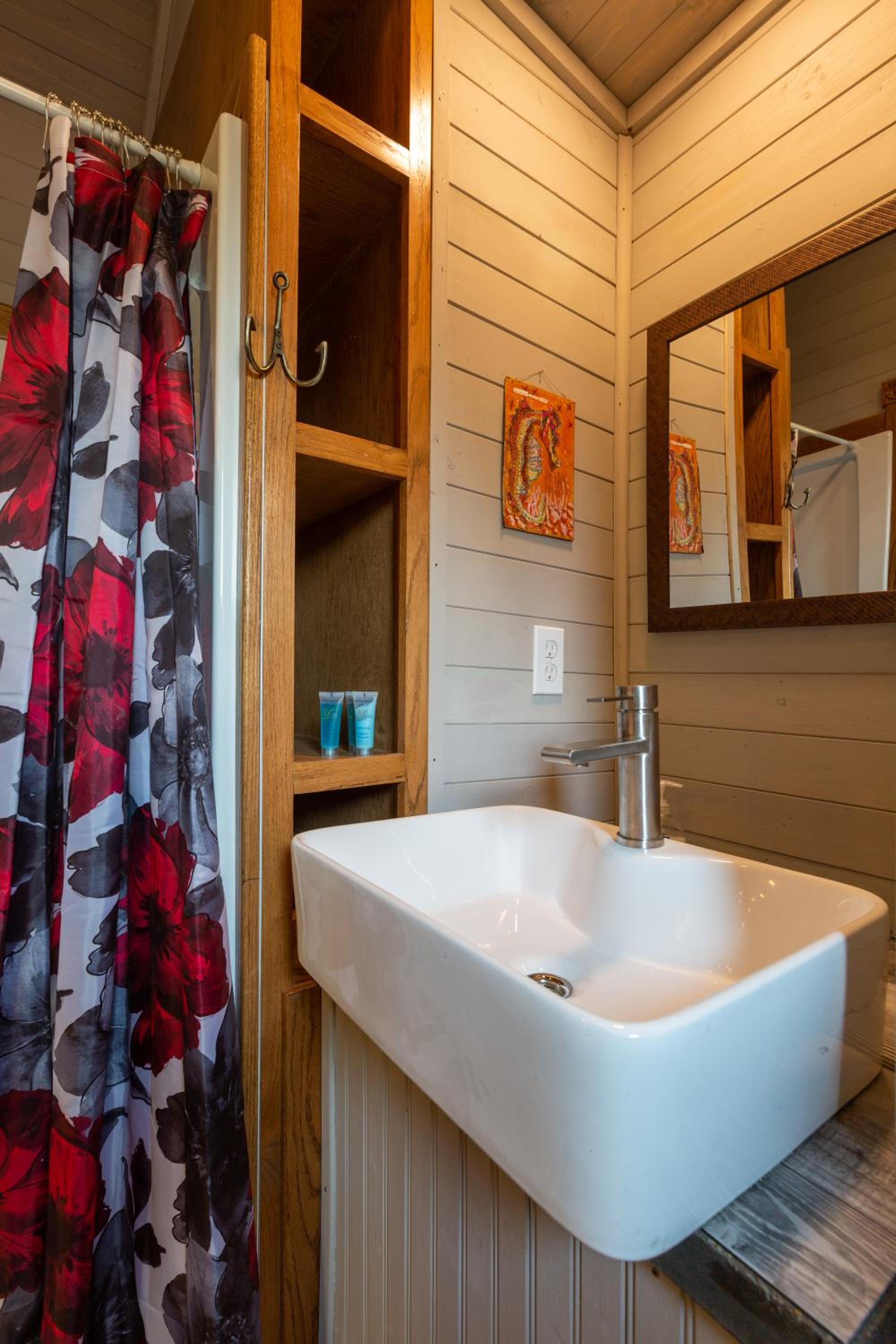 Tiny House Leadville Colorado