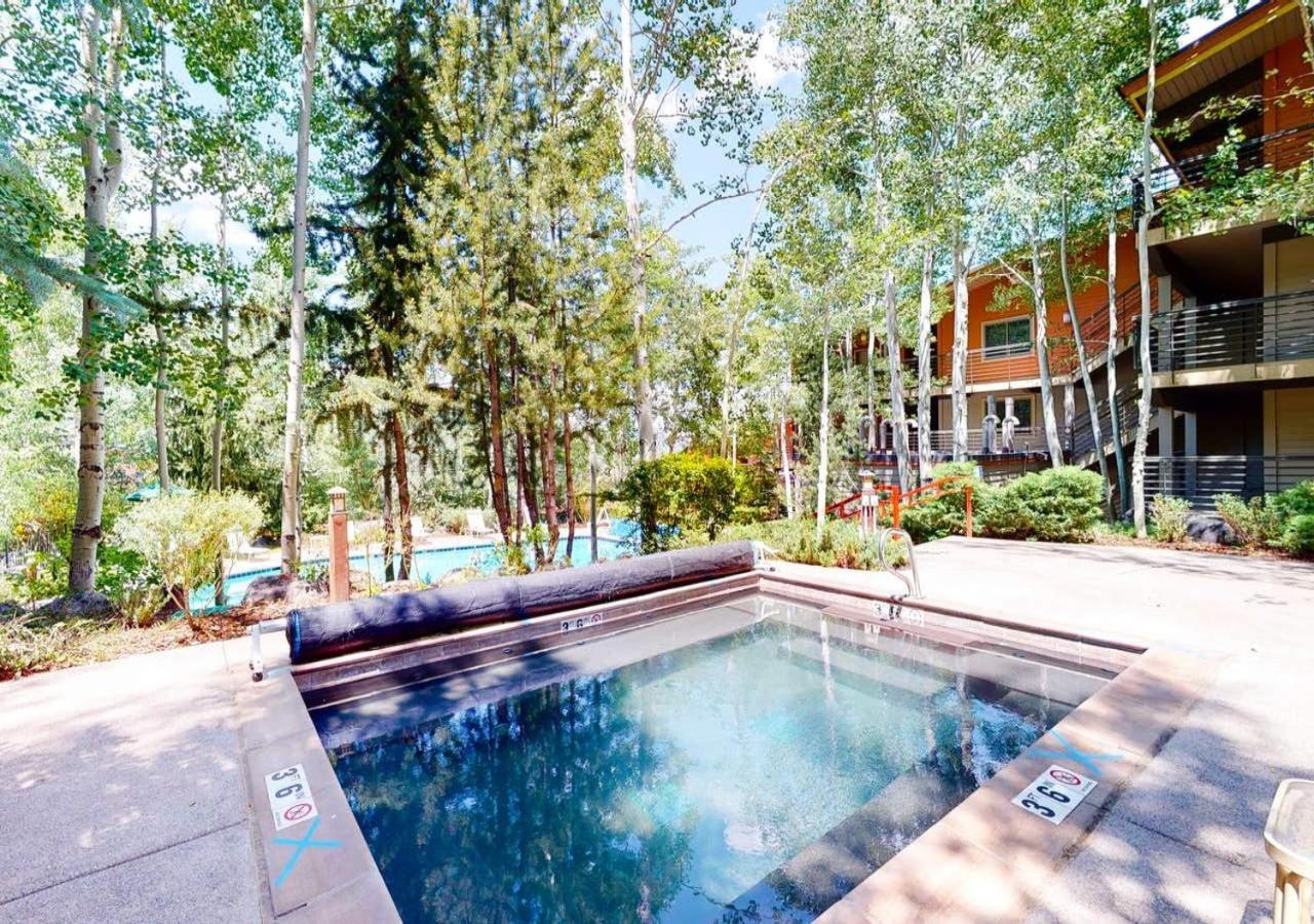 The Enclave at Snowmass by TO view 2