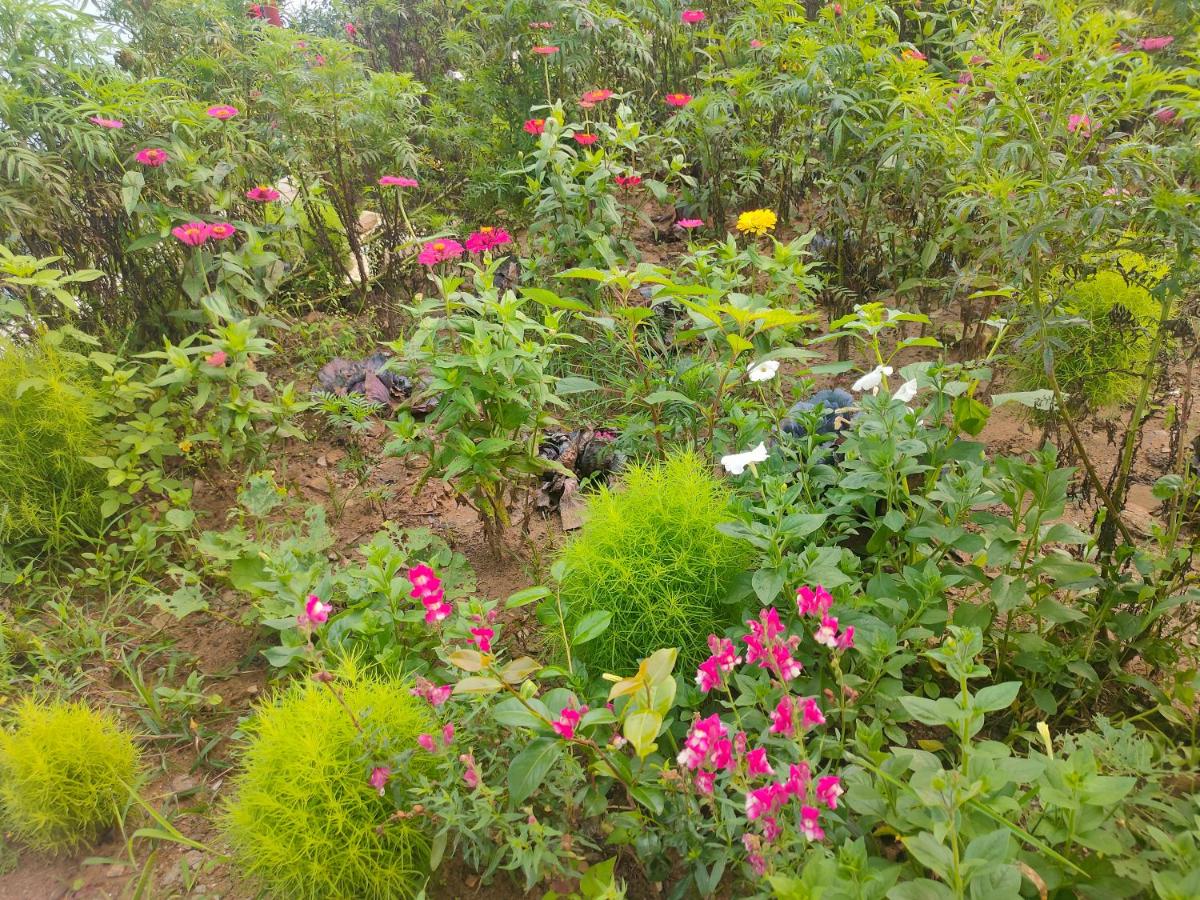 Photo 86