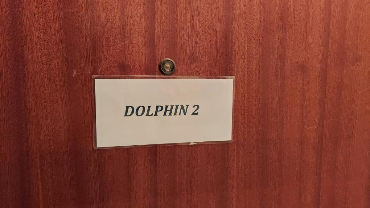 Dolphin 2 photo 4