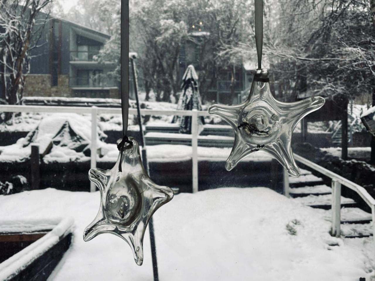 Feathertop Alpine Lodge