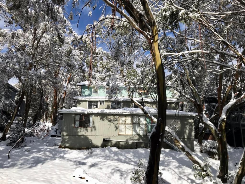 Feathertop Alpine Lodge