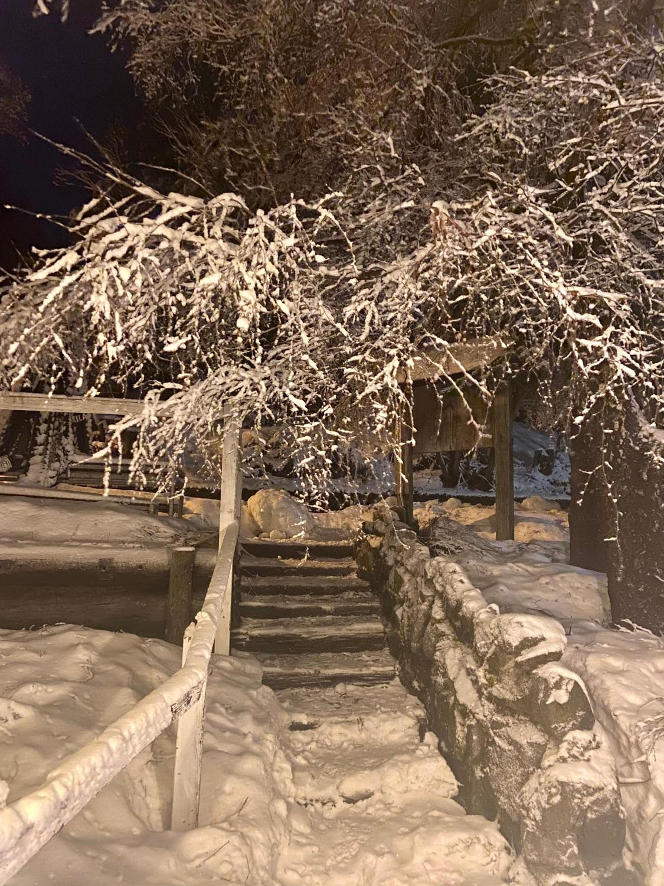 Feathertop Alpine Lodge