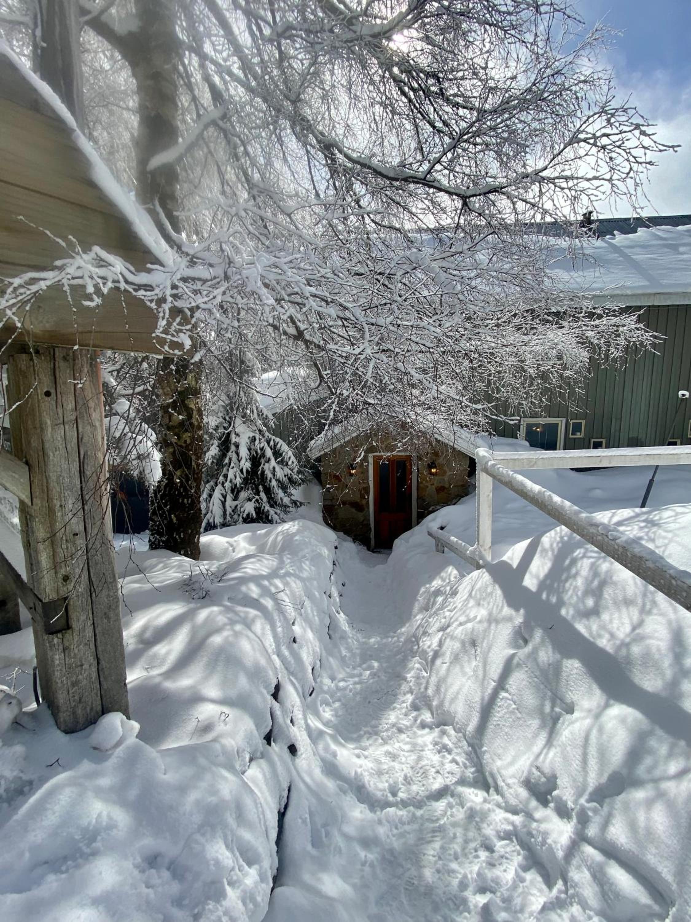 Feathertop Alpine Lodge