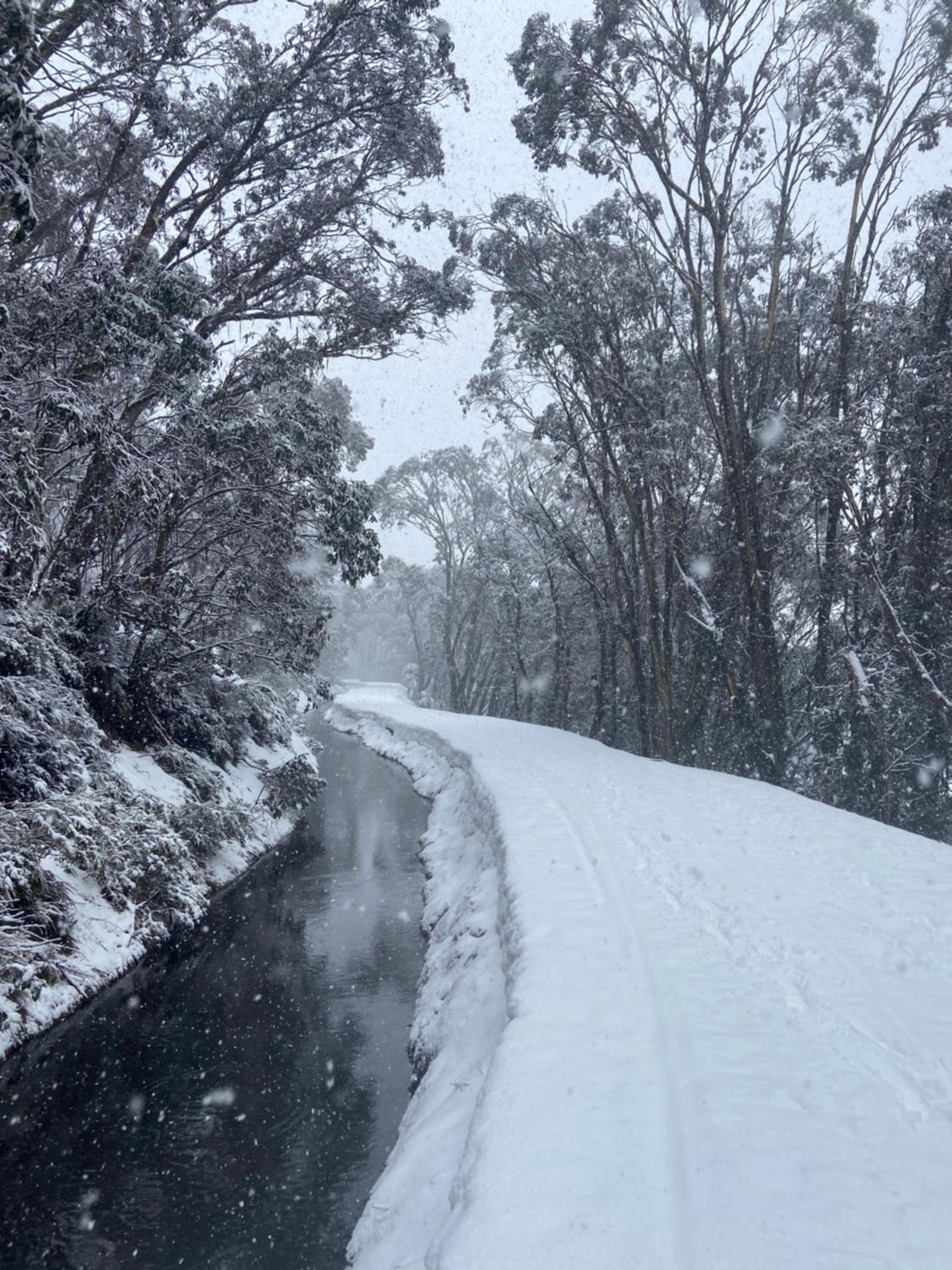 Feathertop Alpine Lodge