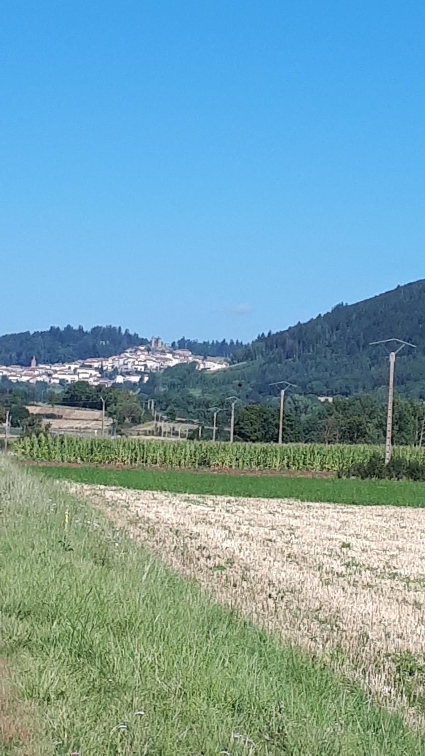 La Forge view 2