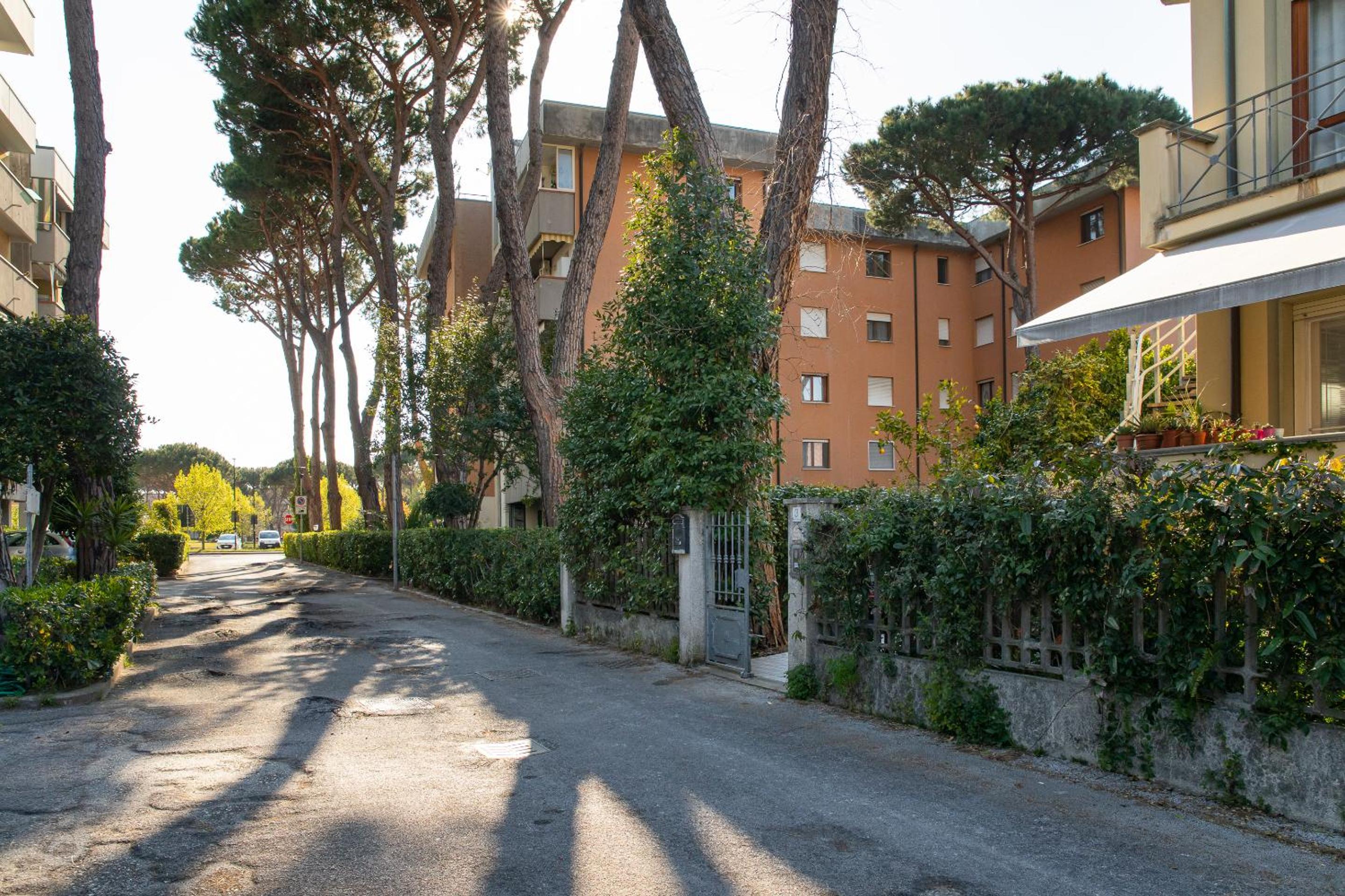 Il Pino Marittimo view 3