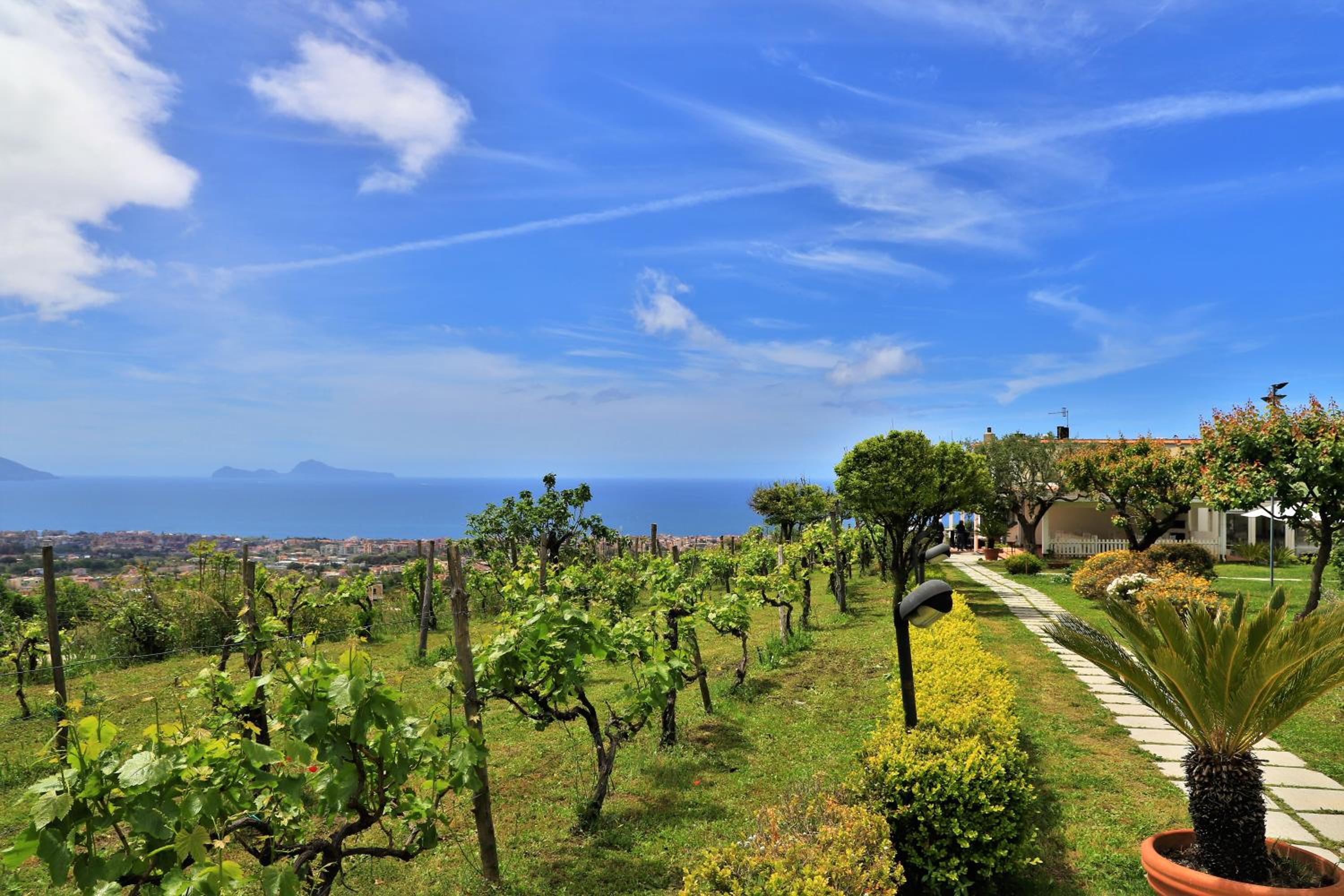 Tenuta Le Fornacelle
