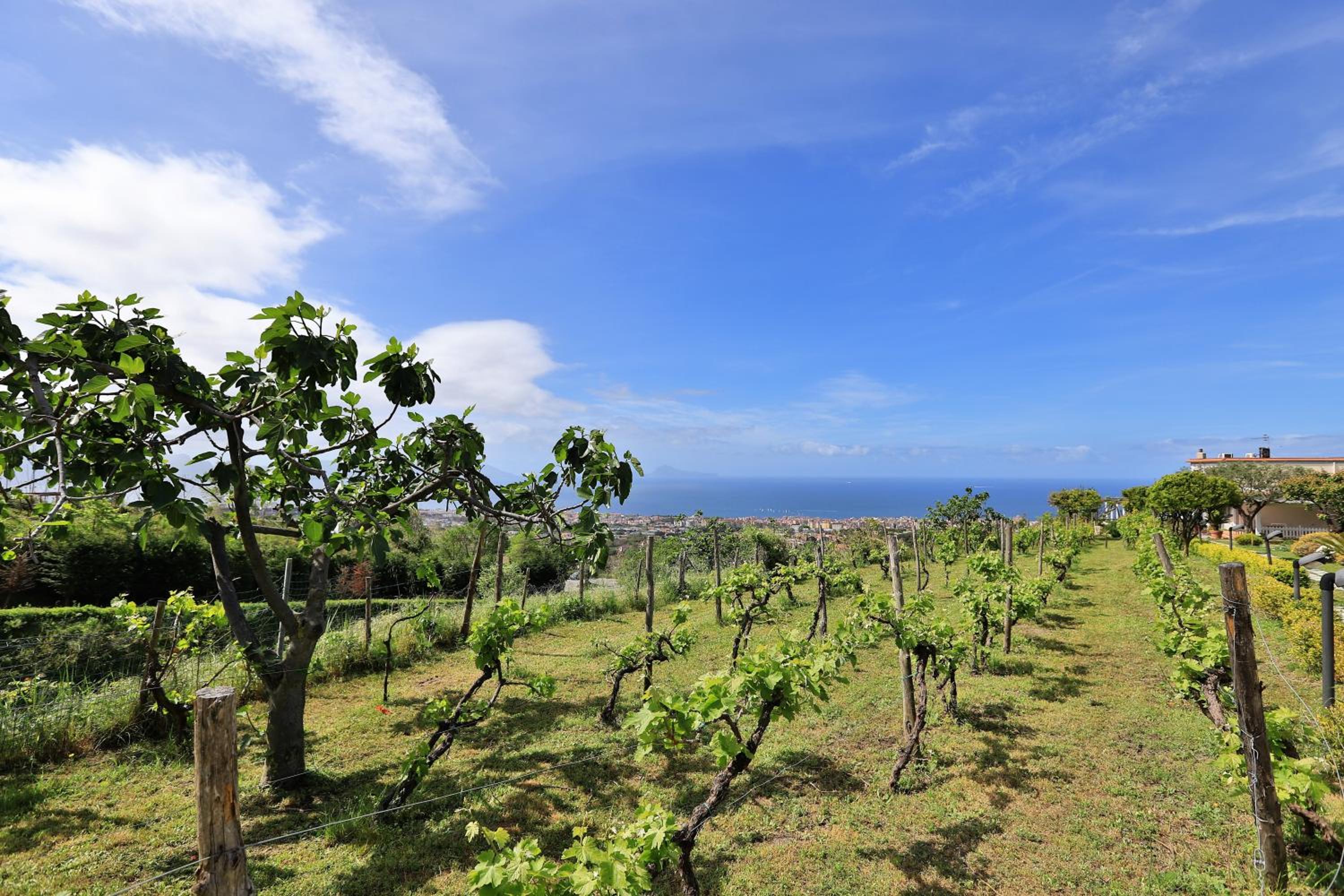 Tenuta Le Fornacelle