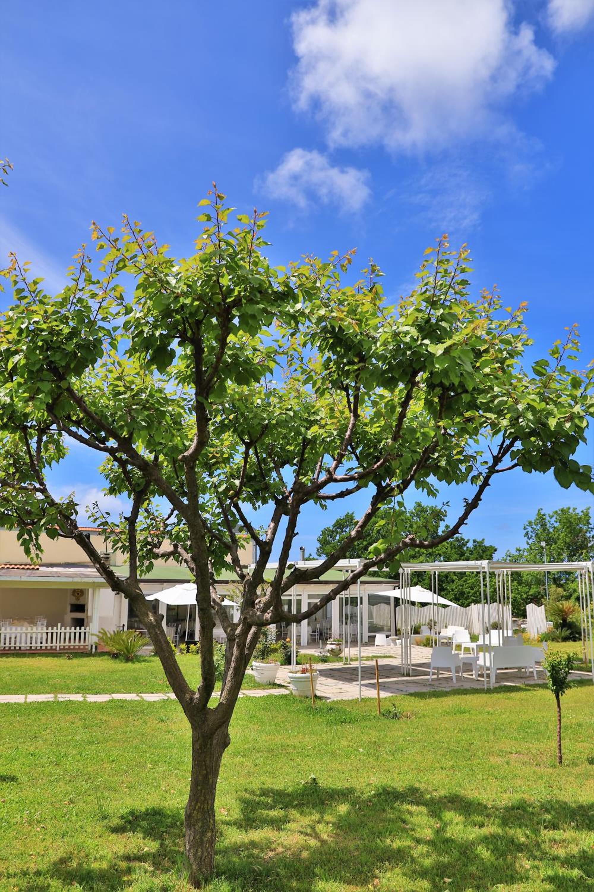 Tenuta Le Fornacelle
