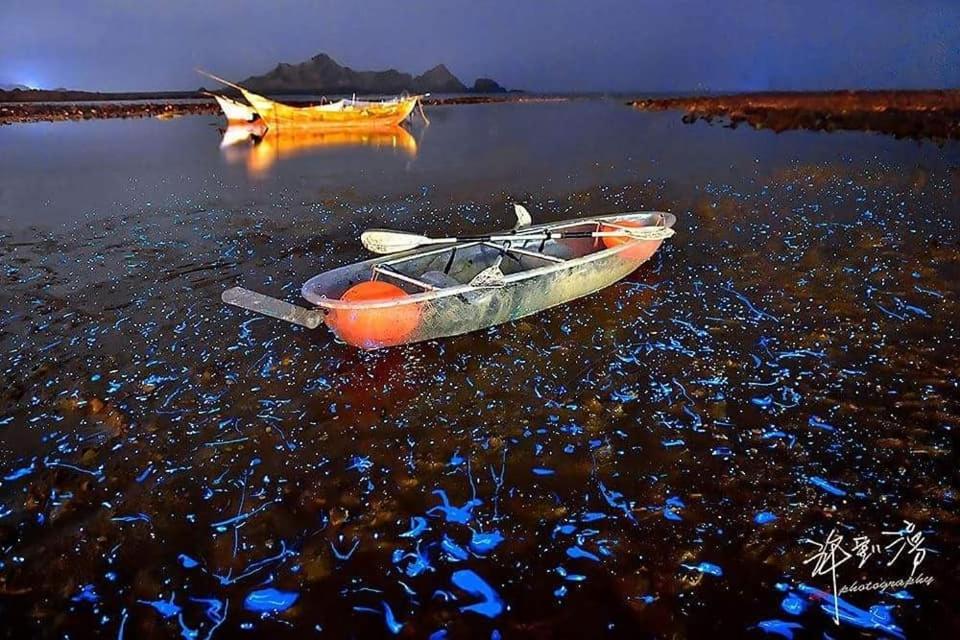 Photo 40