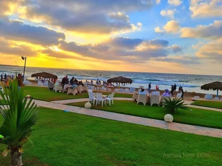 Maamoura Beach 1 — photo 46
