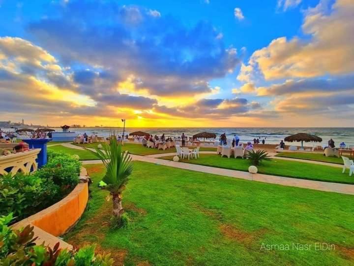 Maamoura Beach 1 — photo 44